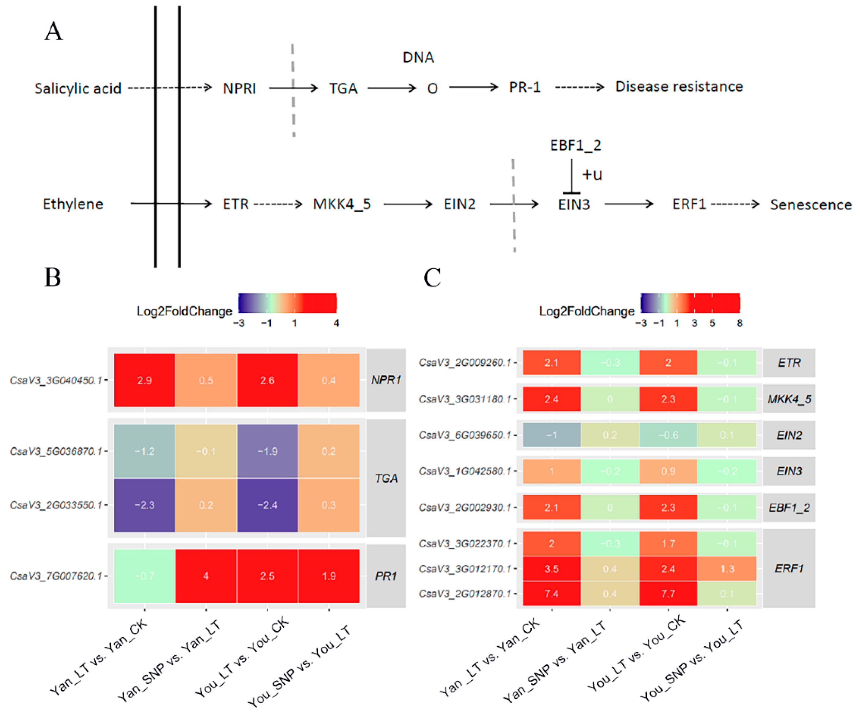 Plants 14 03275 g001