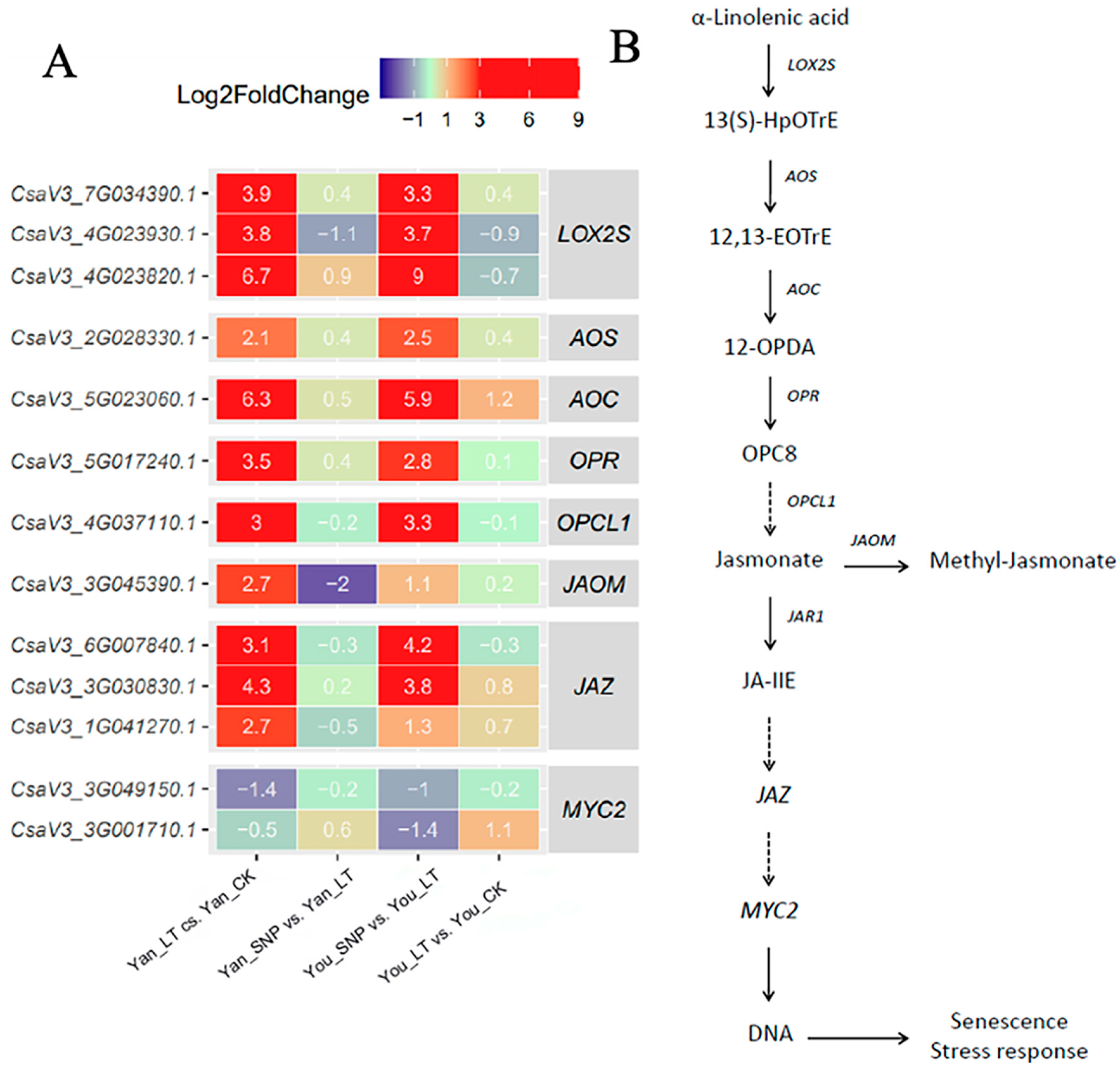 Plants 14 03275 g002