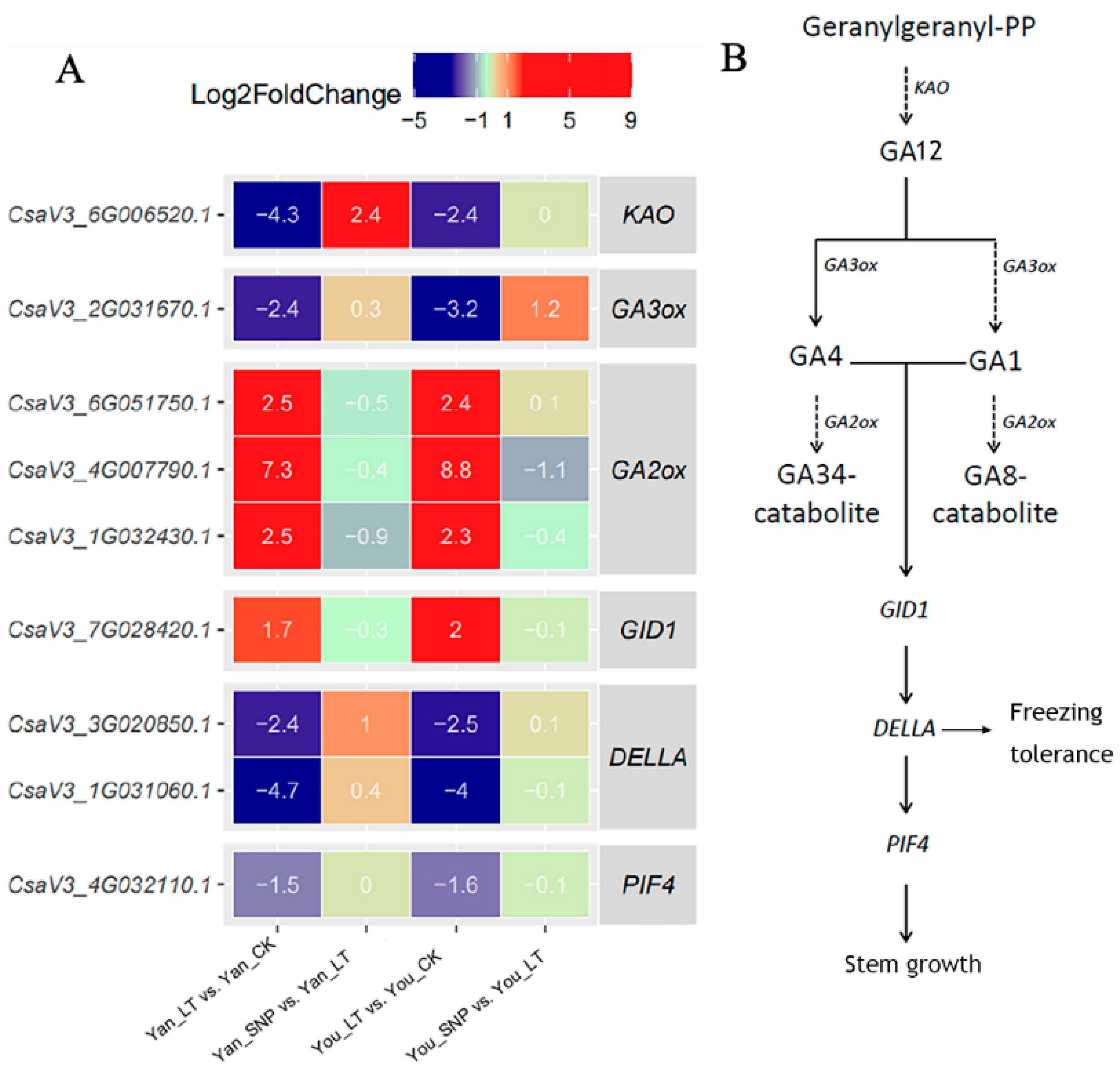 Plants 14 03275 g003
