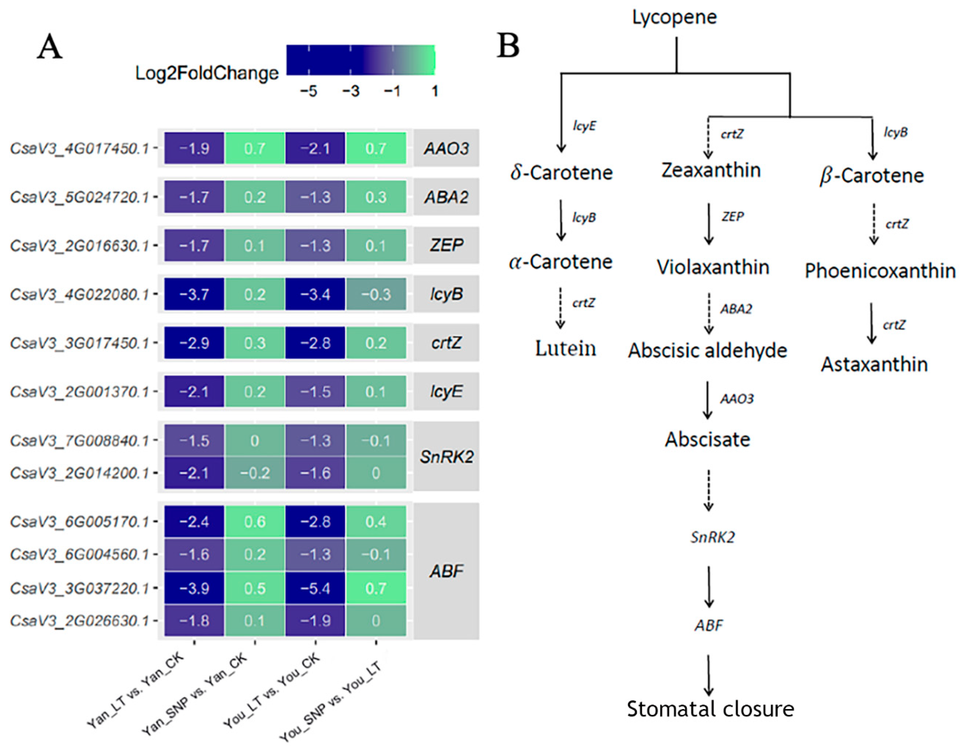 Plants 14 03275 g004