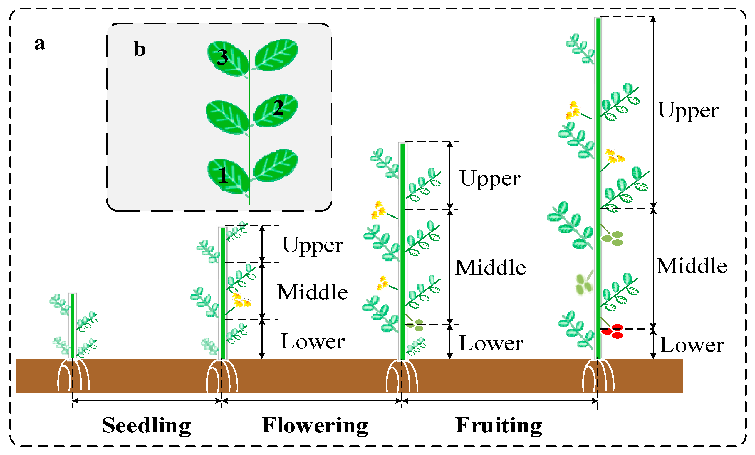Plants 14 03276 g010 Plants 14 03276 g010