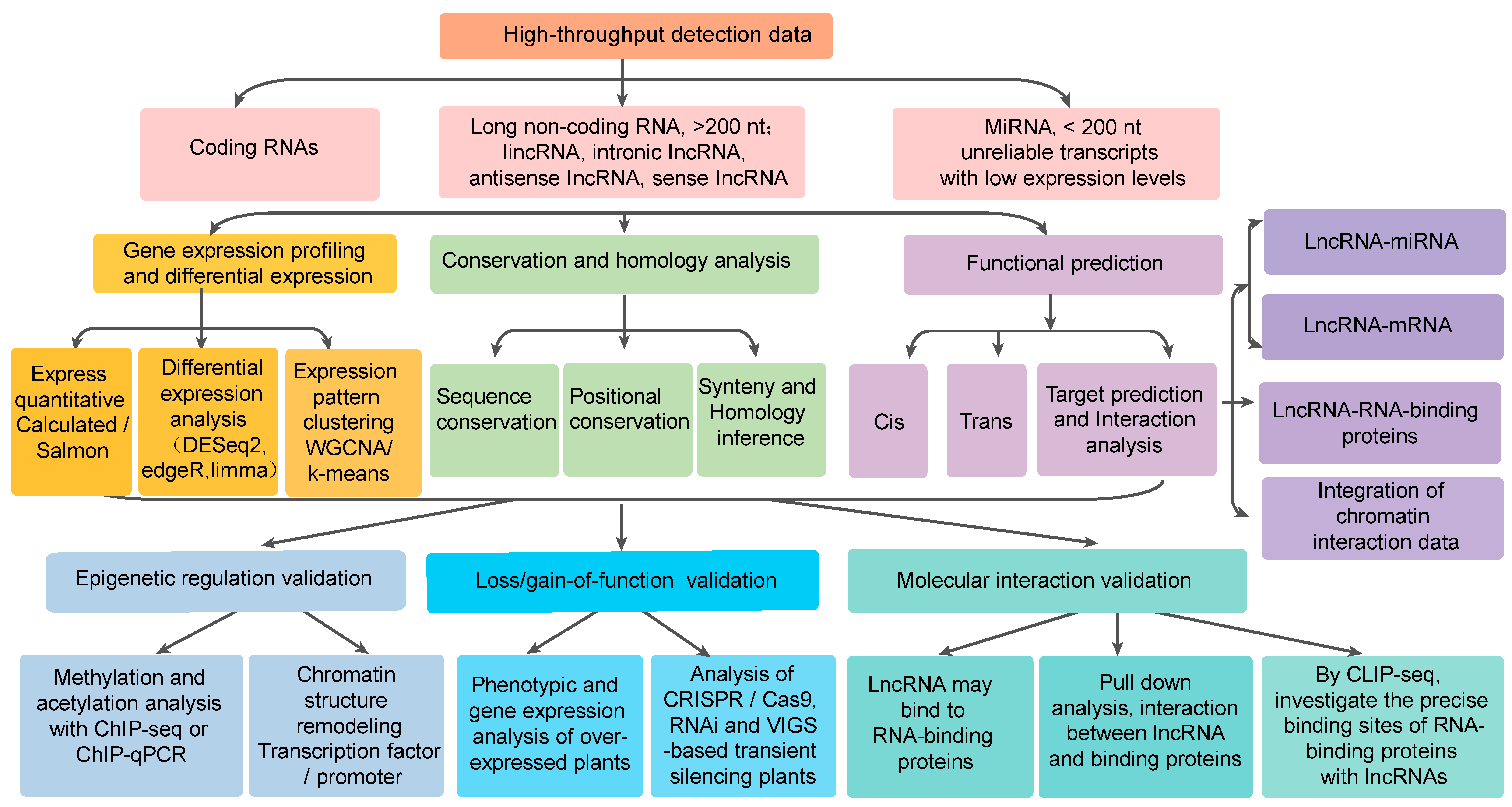 Plants 14 03280 g001