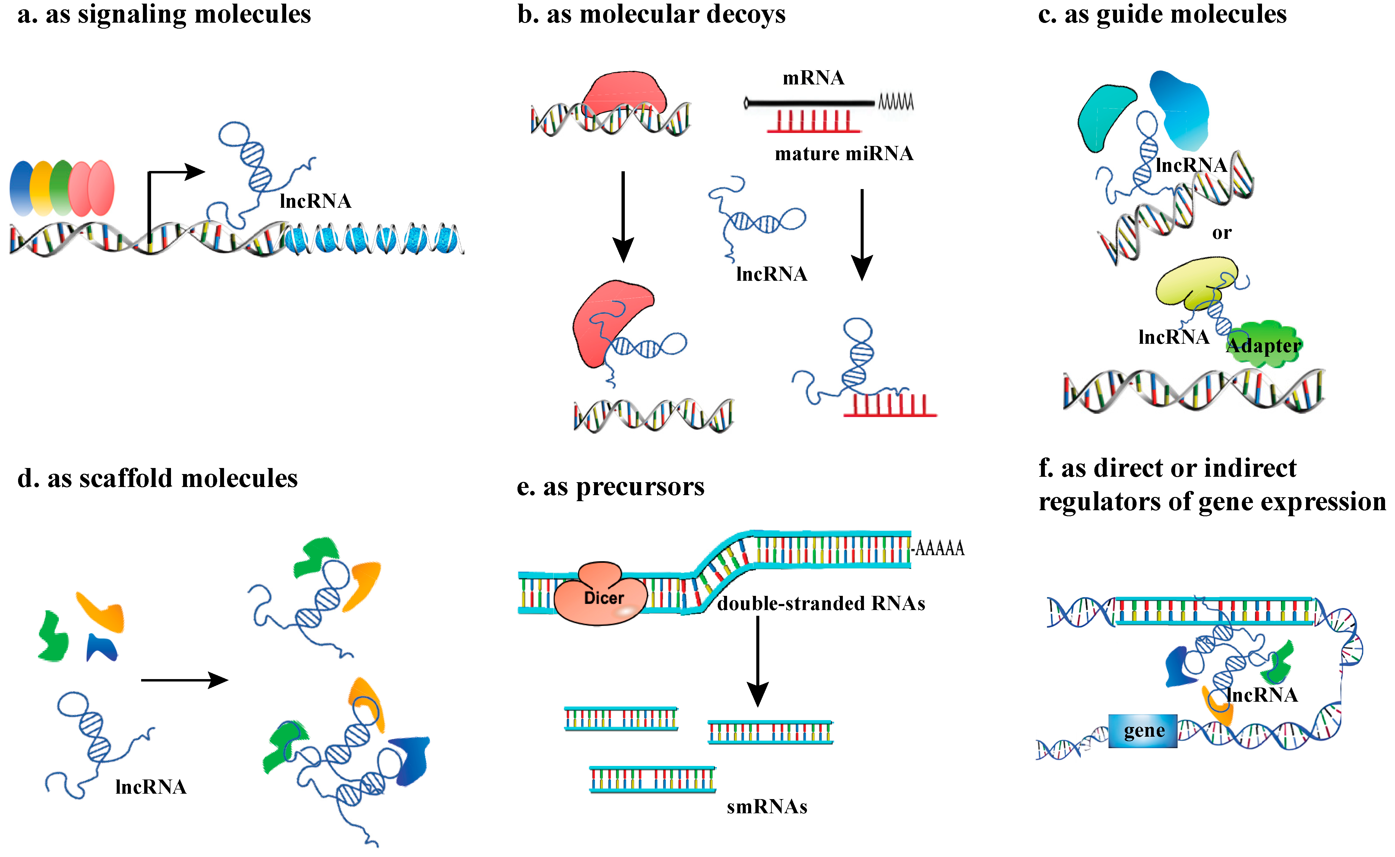 Plants 14 03280 g002