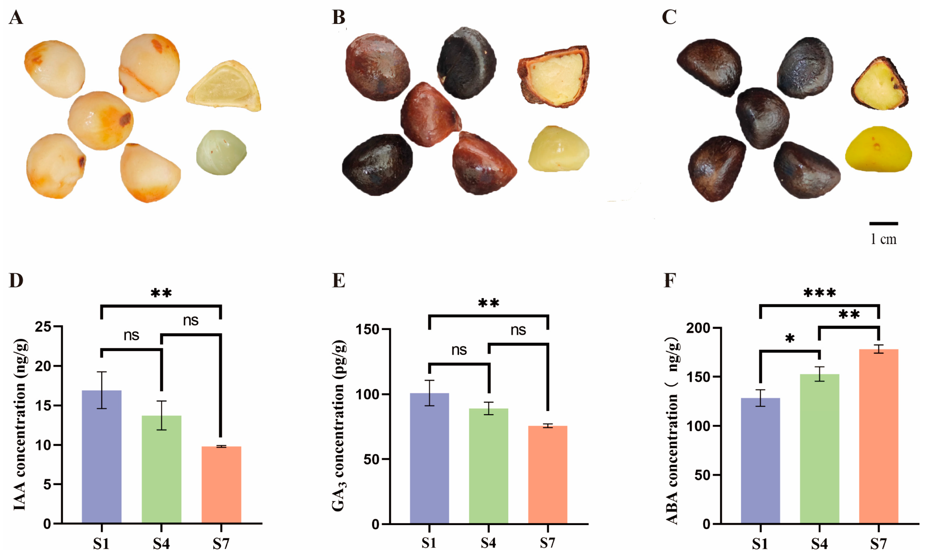 Plants 14 03282 g001