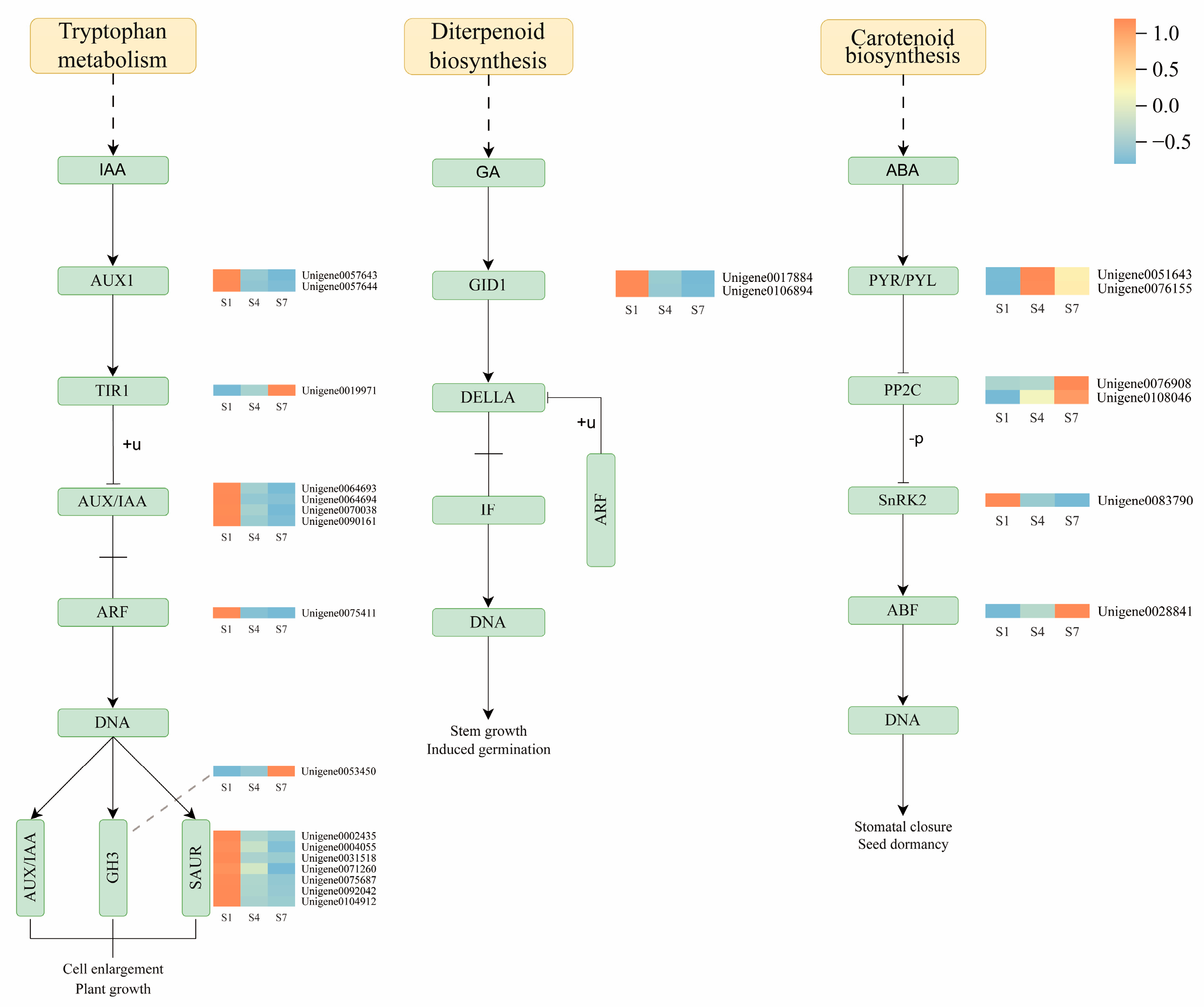 Plants 14 03282 g007