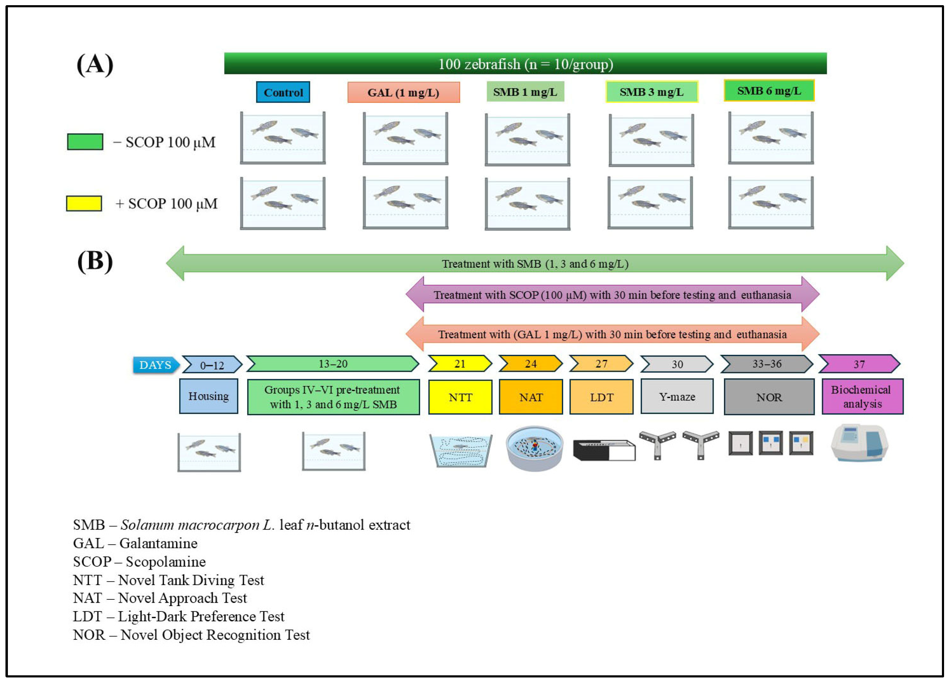 Plants 14 03283 g010 Plants 14 03283 g010