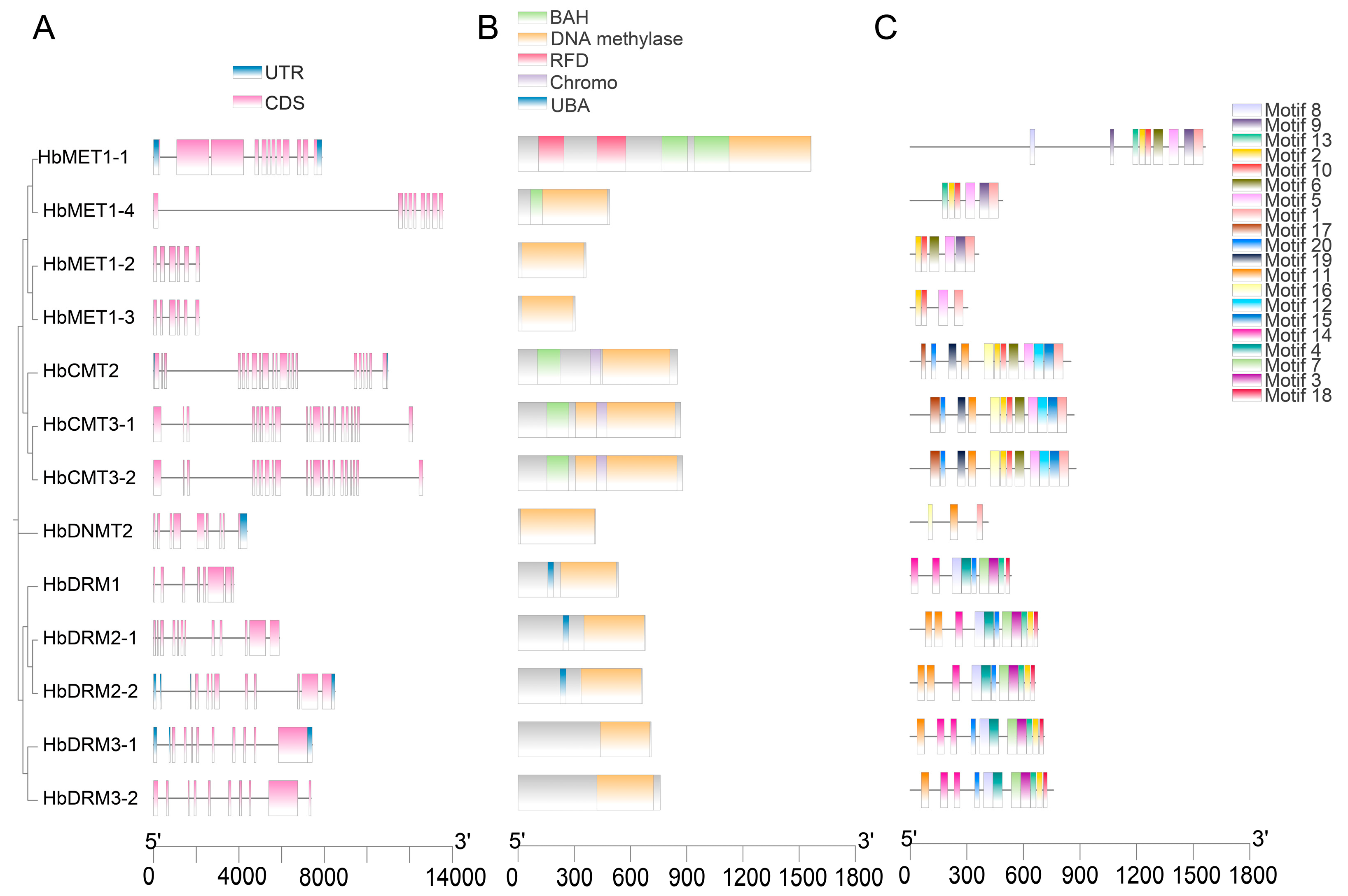 Plants 14 03284 g002 Plants 14 03284 g002