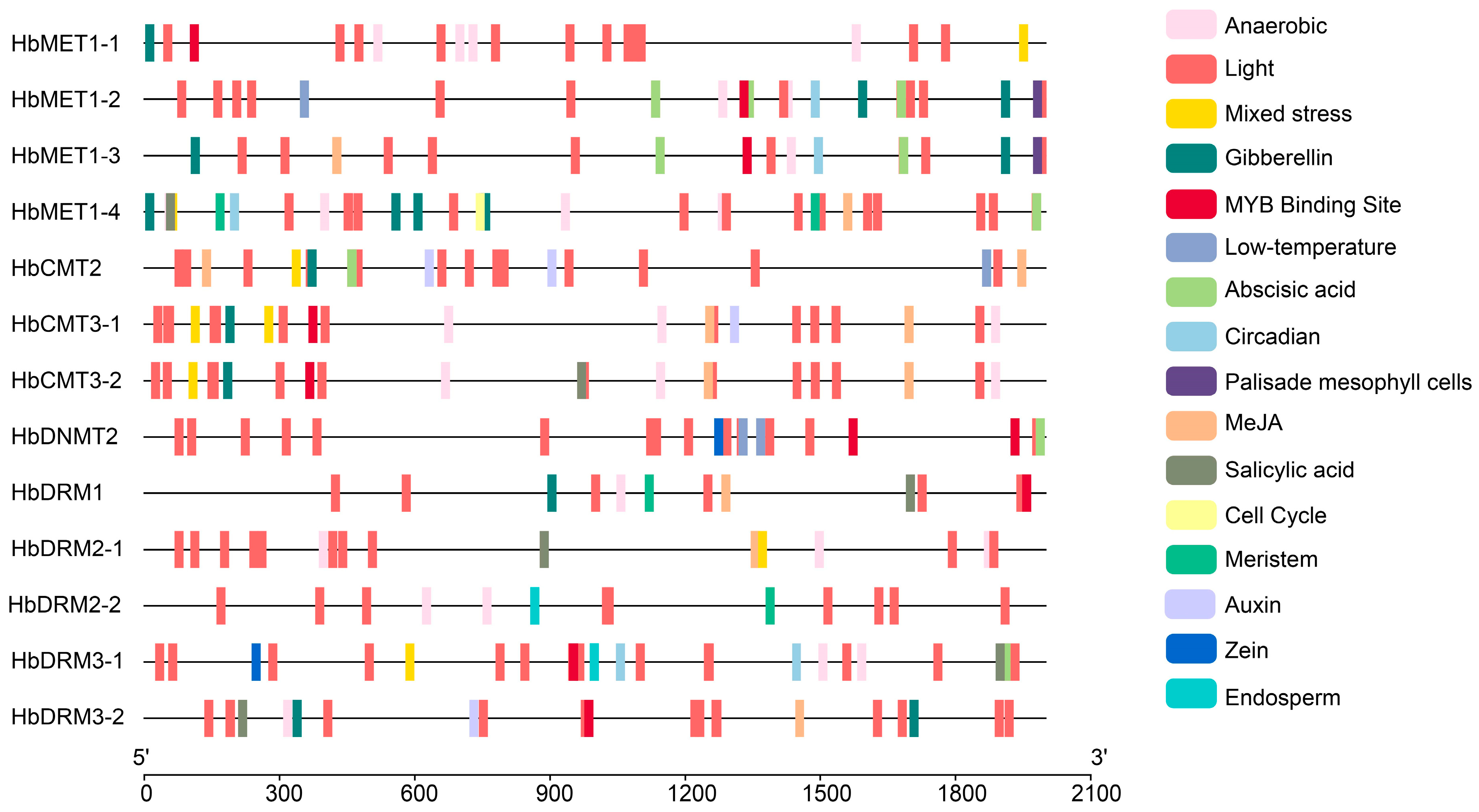 Plants 14 03284 g004 Plants 14 03284 g004