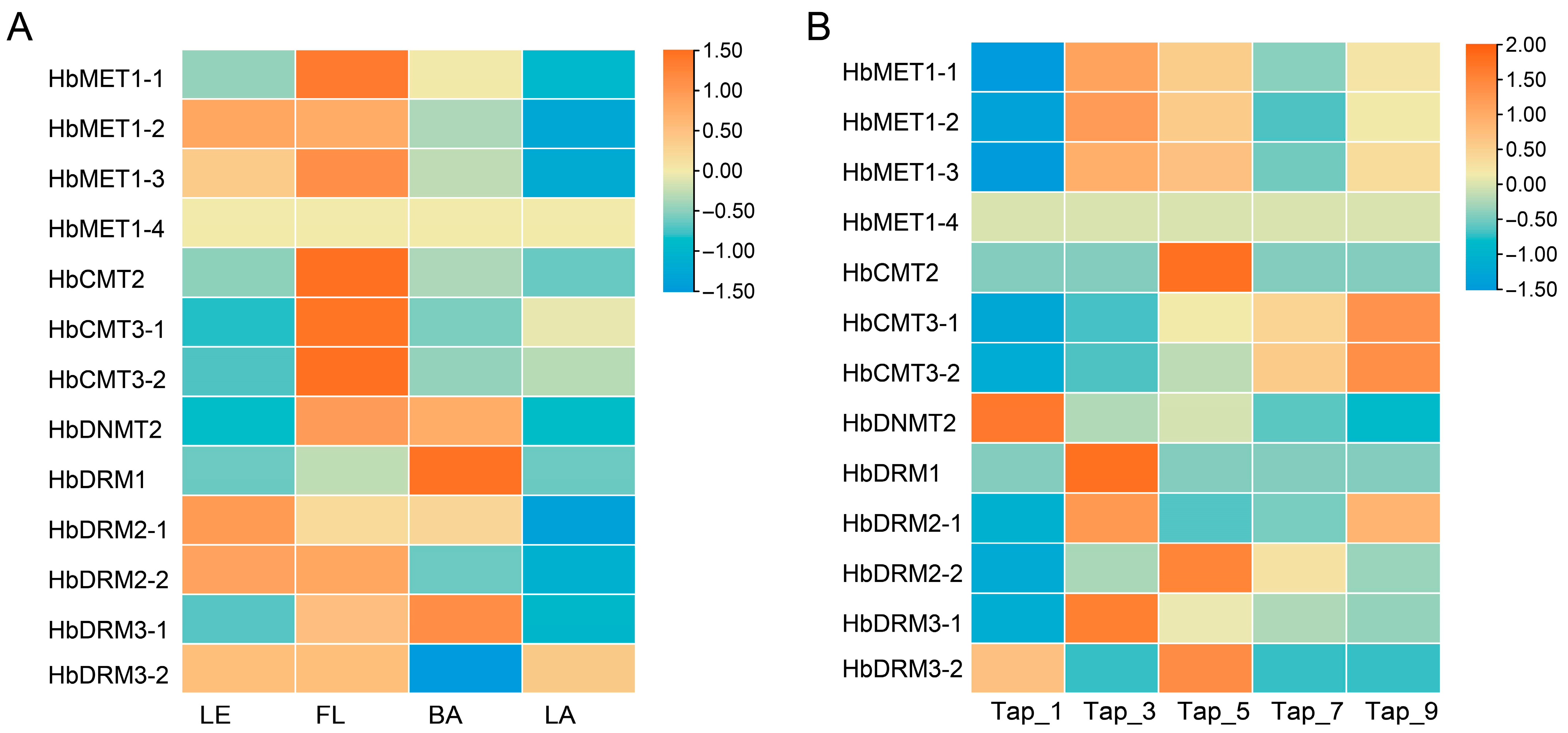 Plants 14 03284 g006 Plants 14 03284 g006