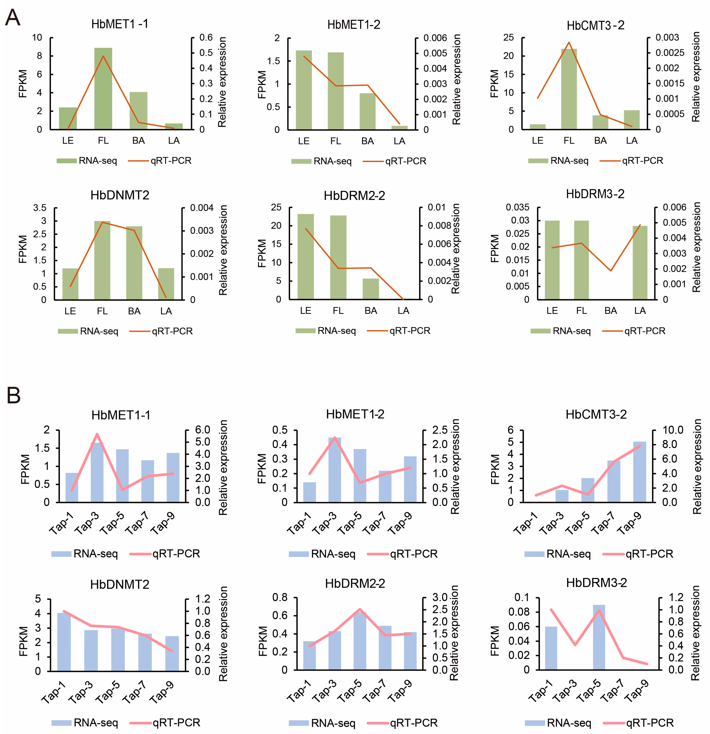 Plants 14 03284 g007 Plants 14 03284 g007