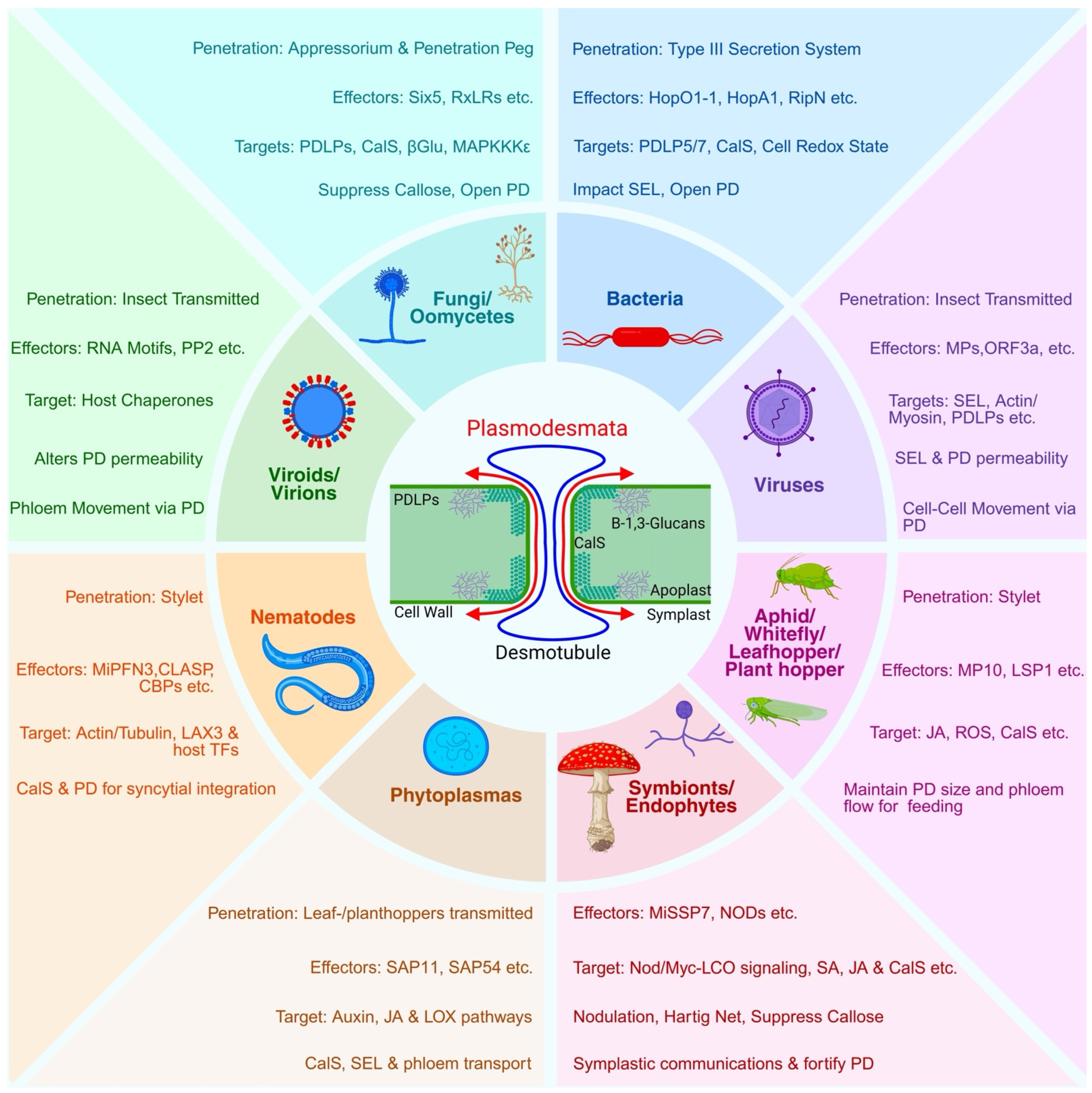 Plants 14 03285 g001
