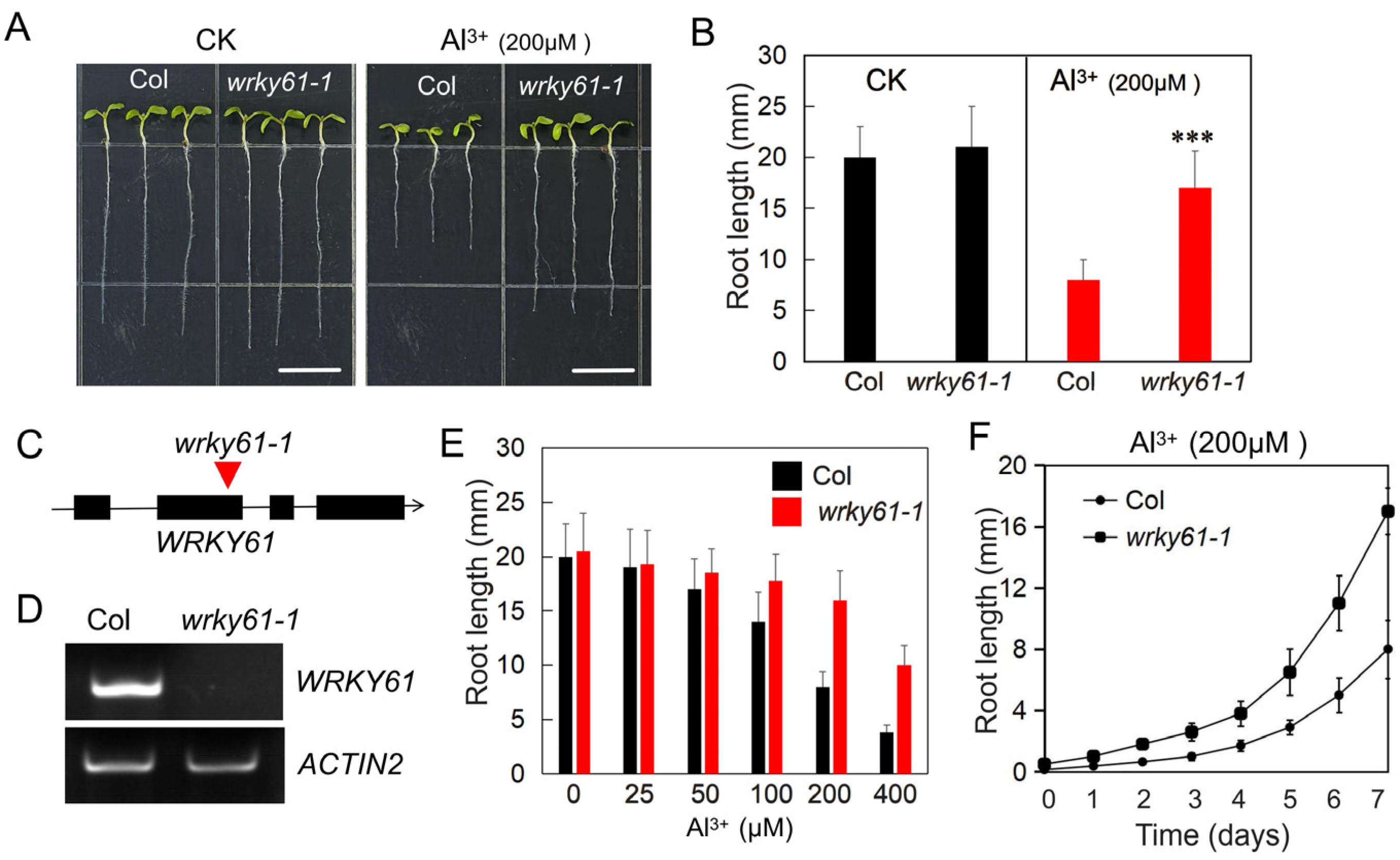 Plants 14 03286 g001 Plants 14 03286 g001