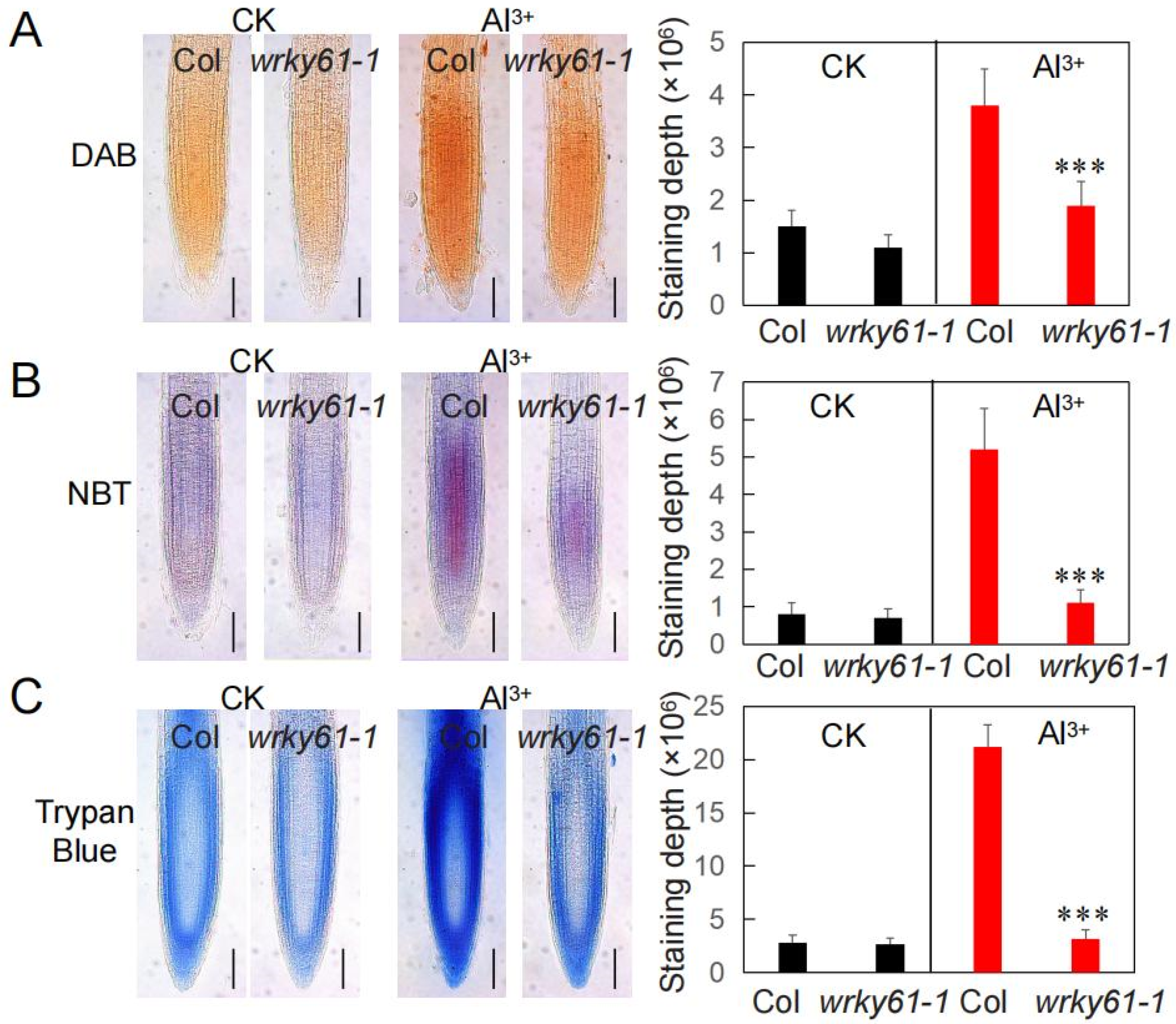 Plants 14 03286 g002 Plants 14 03286 g002