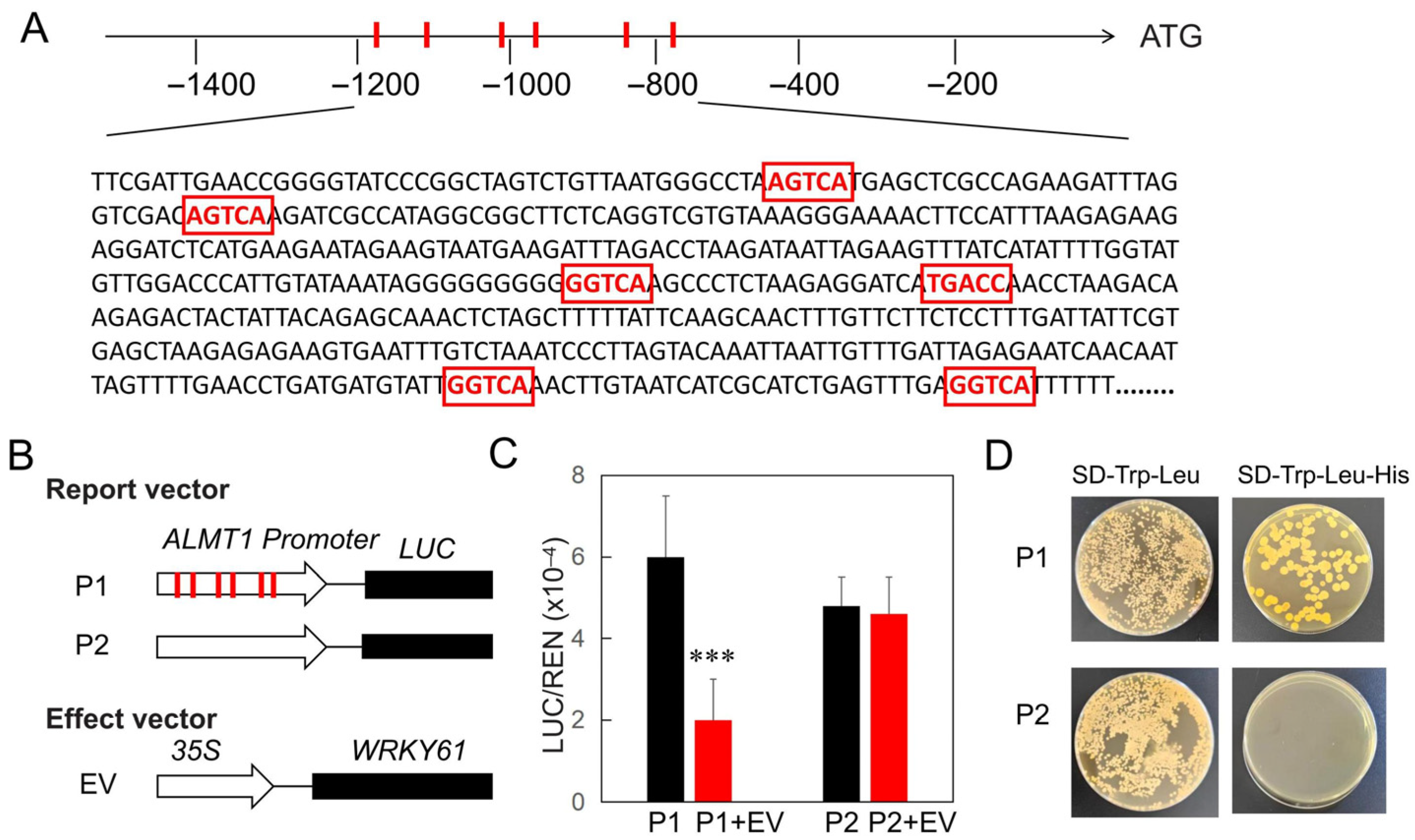 Plants 14 03286 g004 Plants 14 03286 g004
