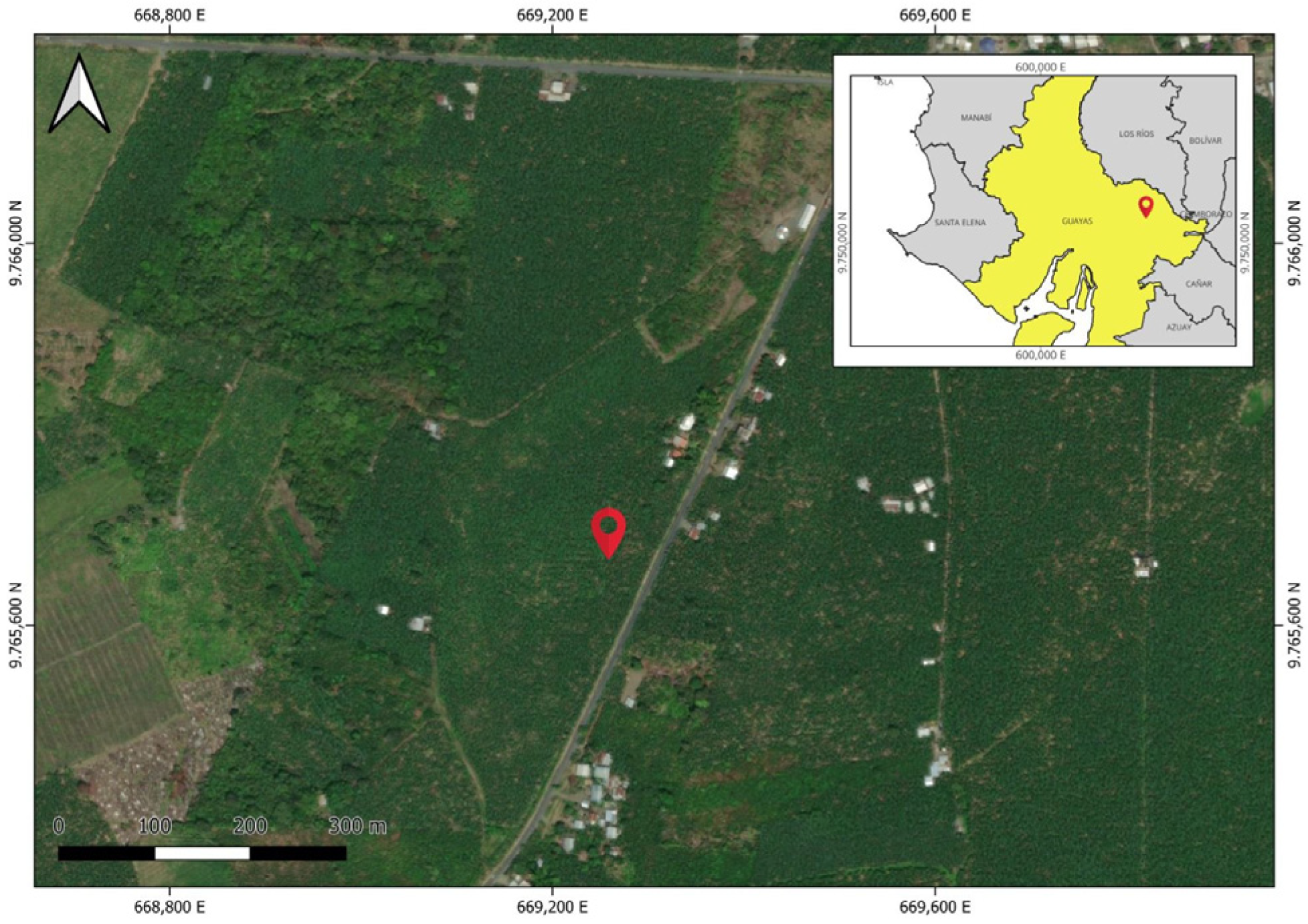 Plants 14 03287 g004