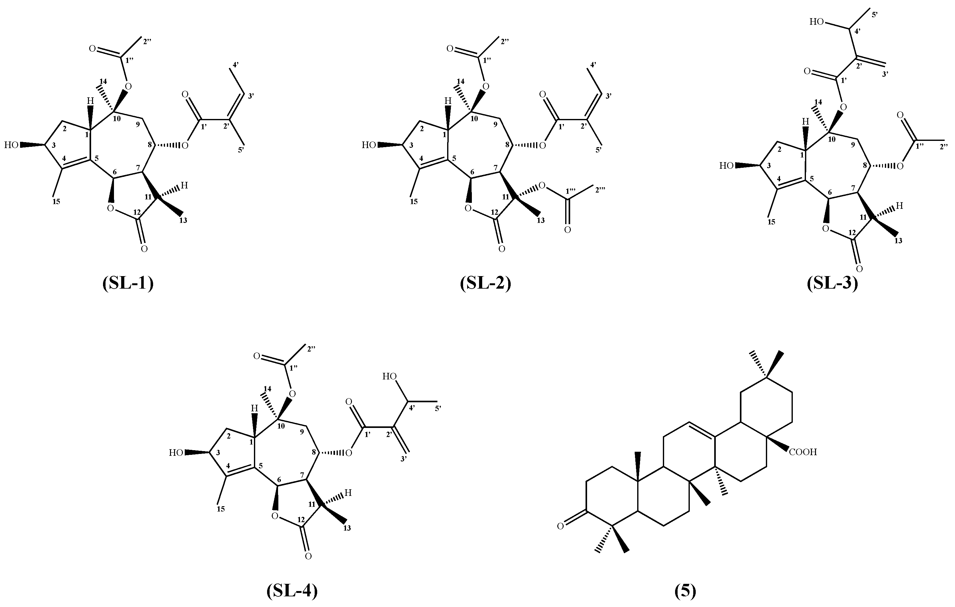 Plants 14 03289 g001