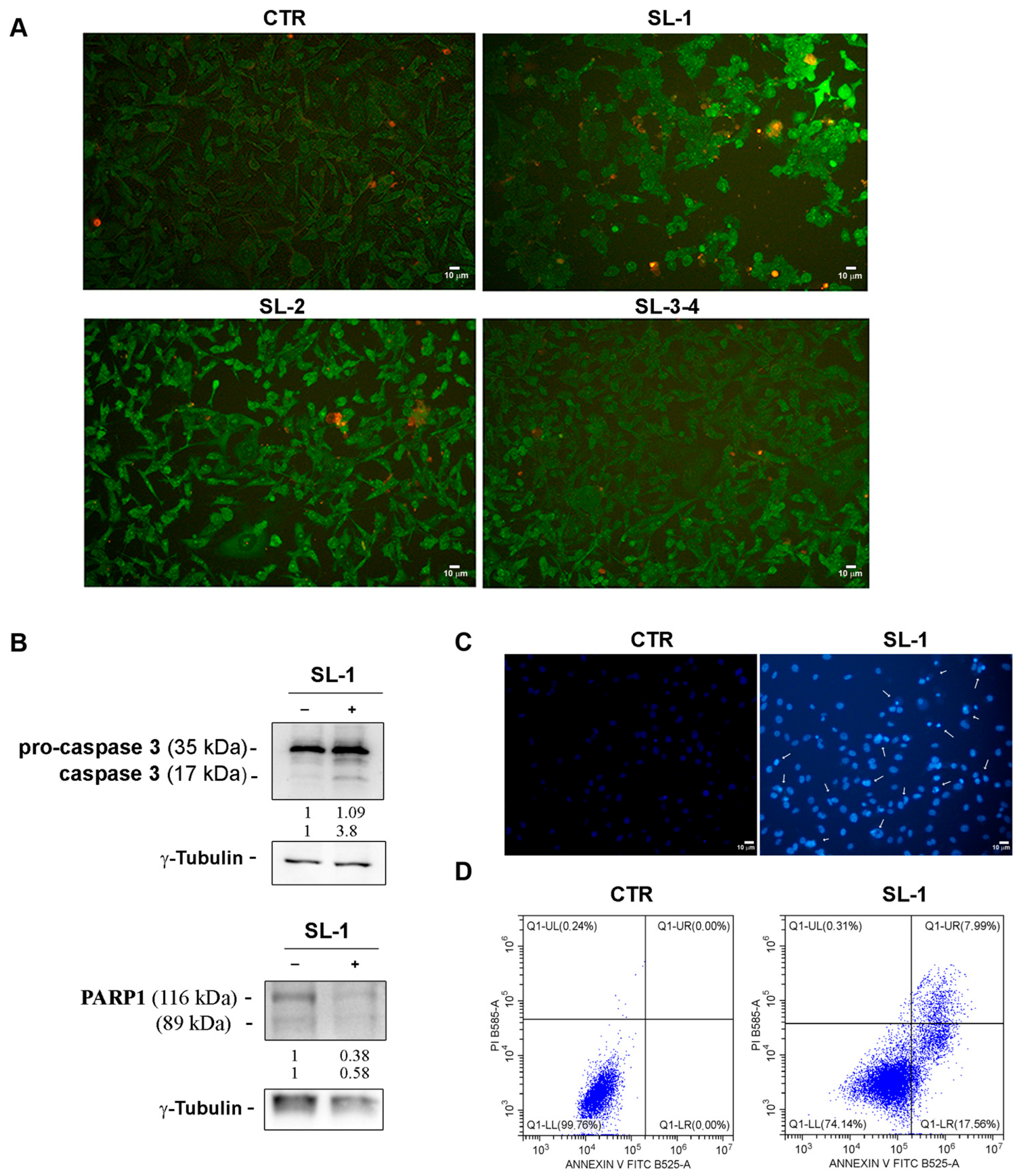 Plants 14 03289 g005