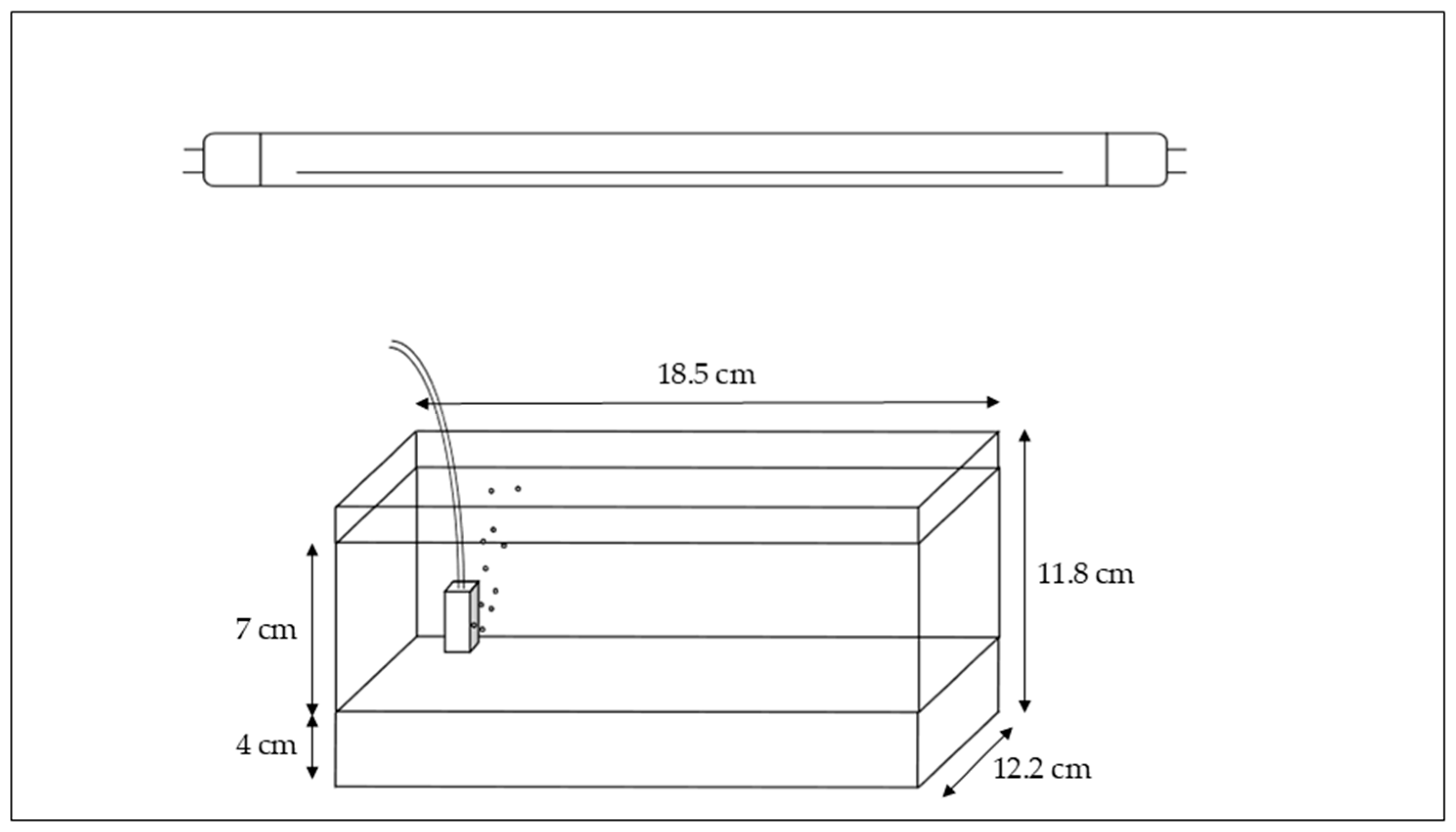 Plants 14 03290 g002 Plants 14 03290 g002