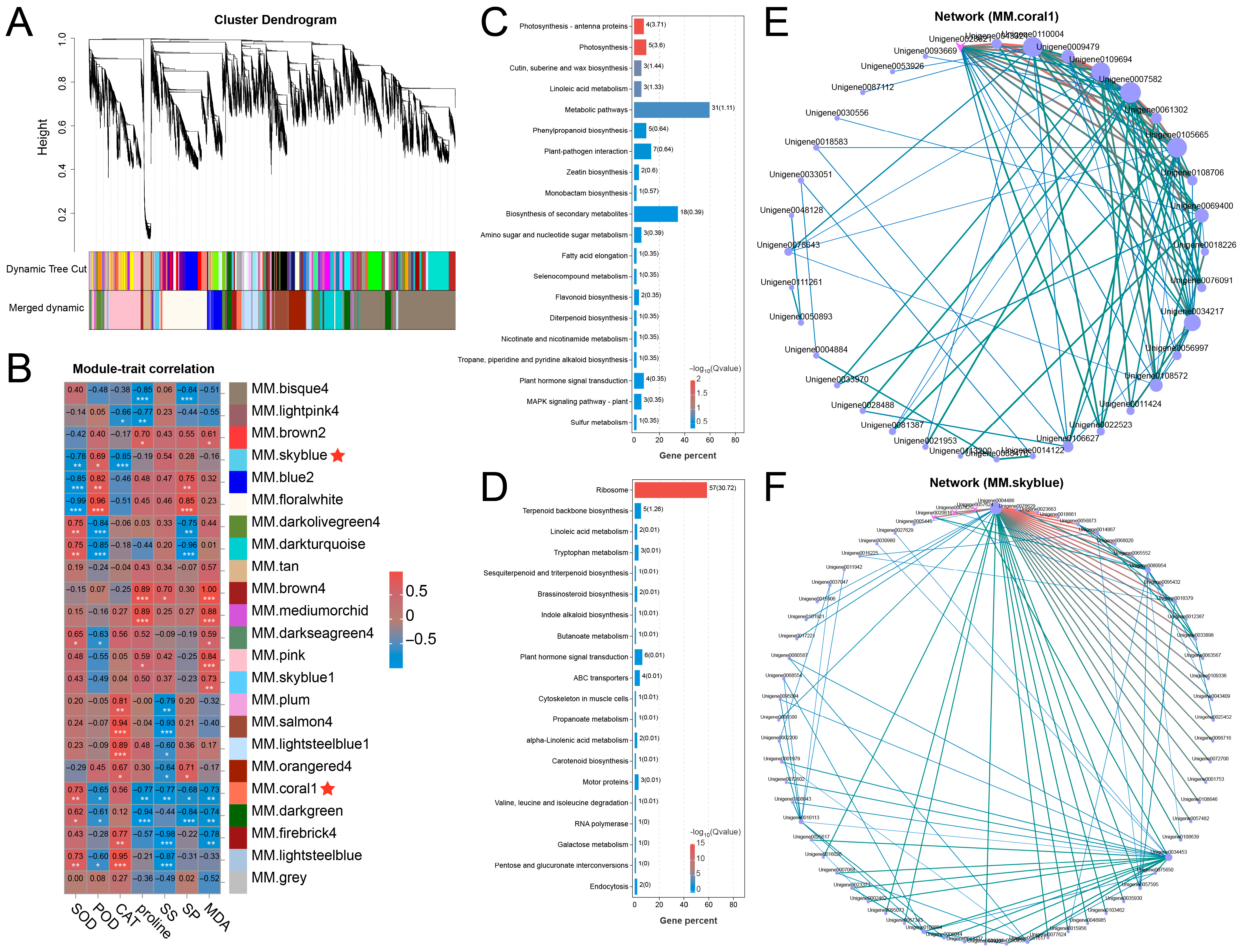 Plants 14 03295 g003