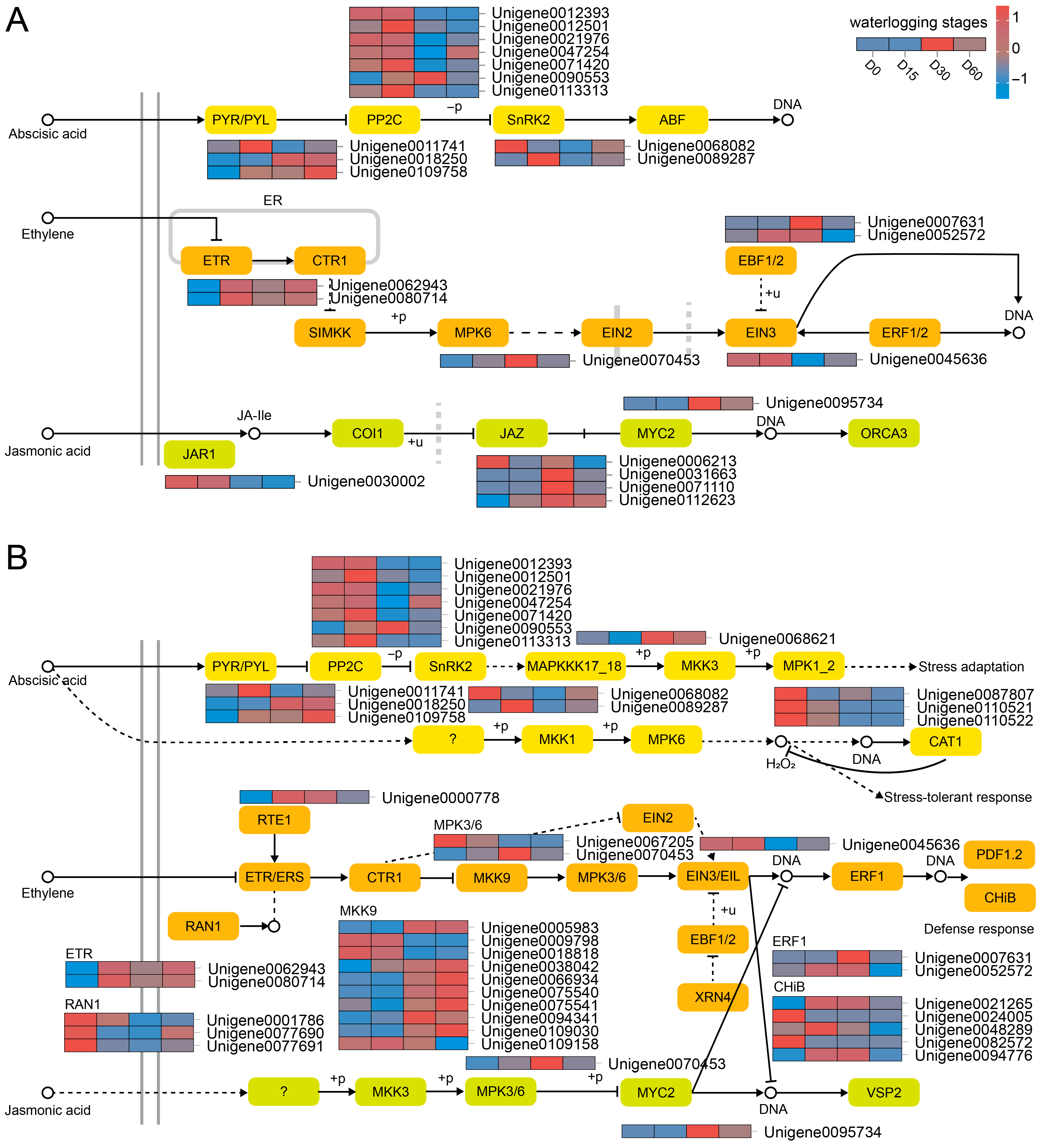 Plants 14 03295 g004