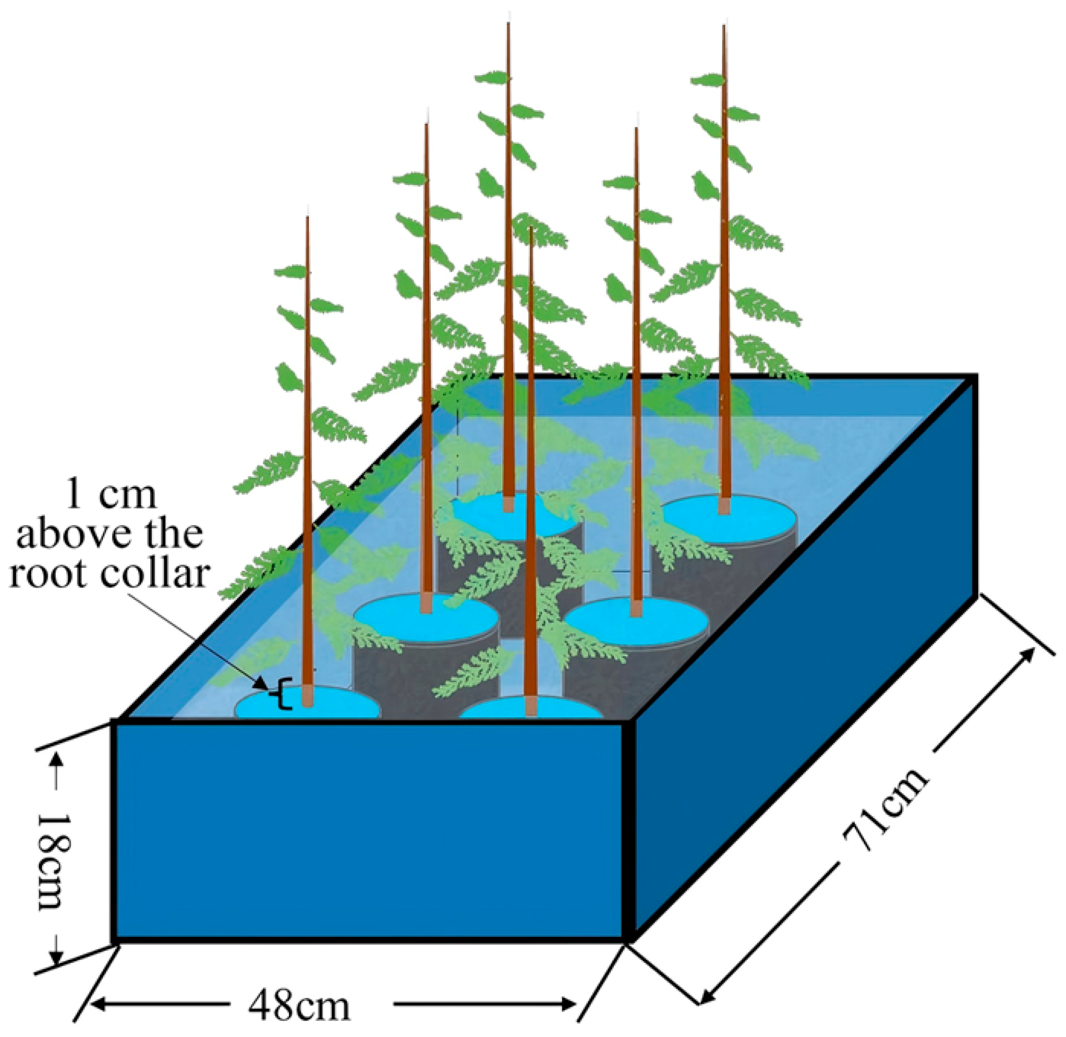 Plants 14 03295 g006