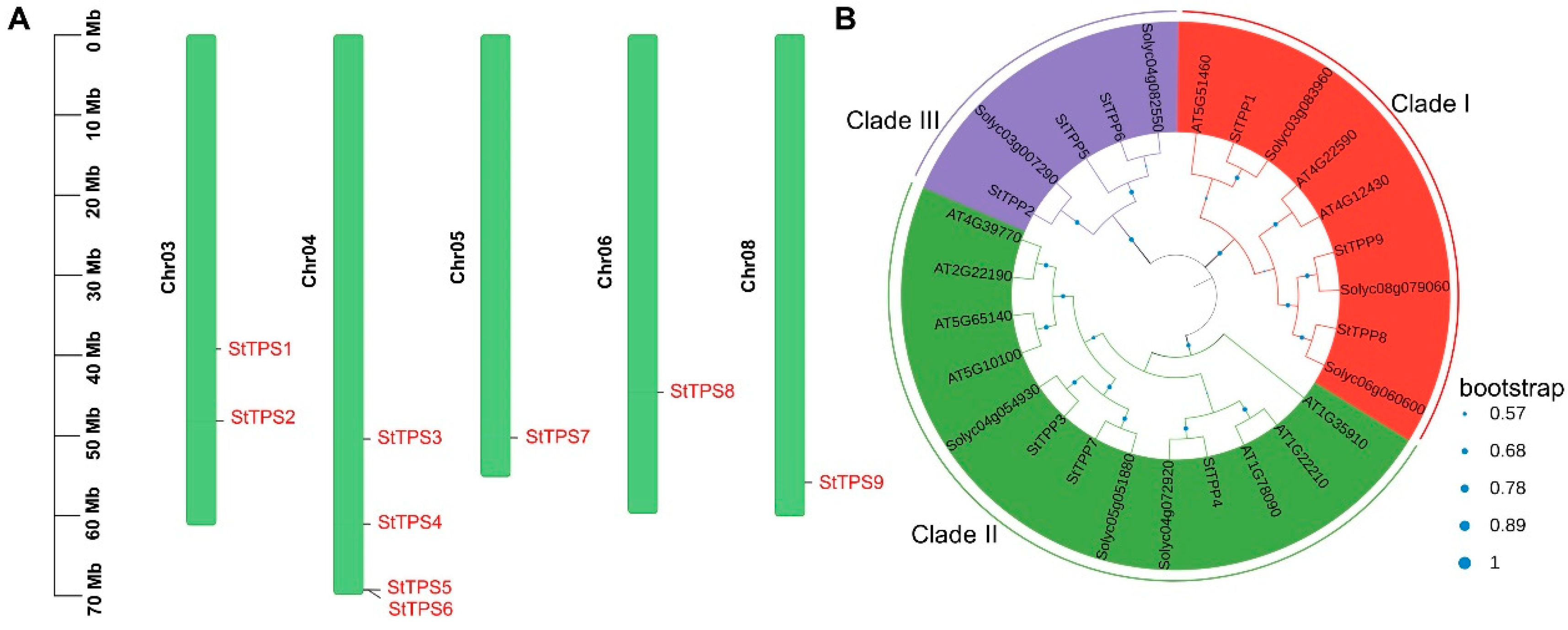 Plants 14 03300 g001