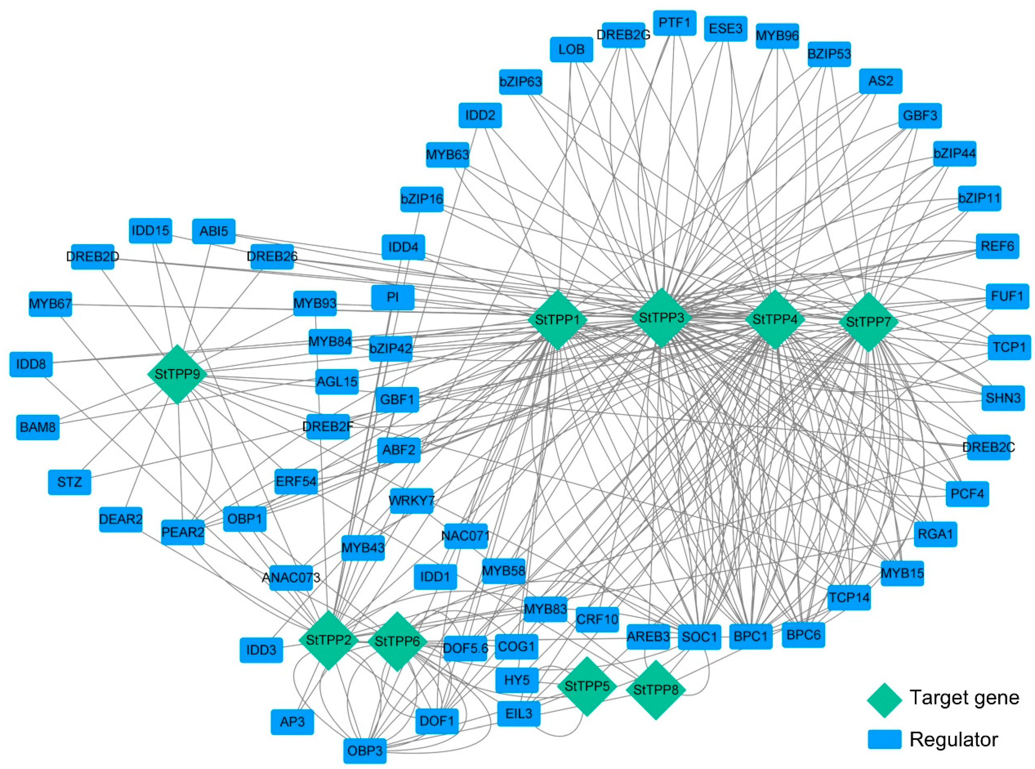 Plants 14 03300 g005