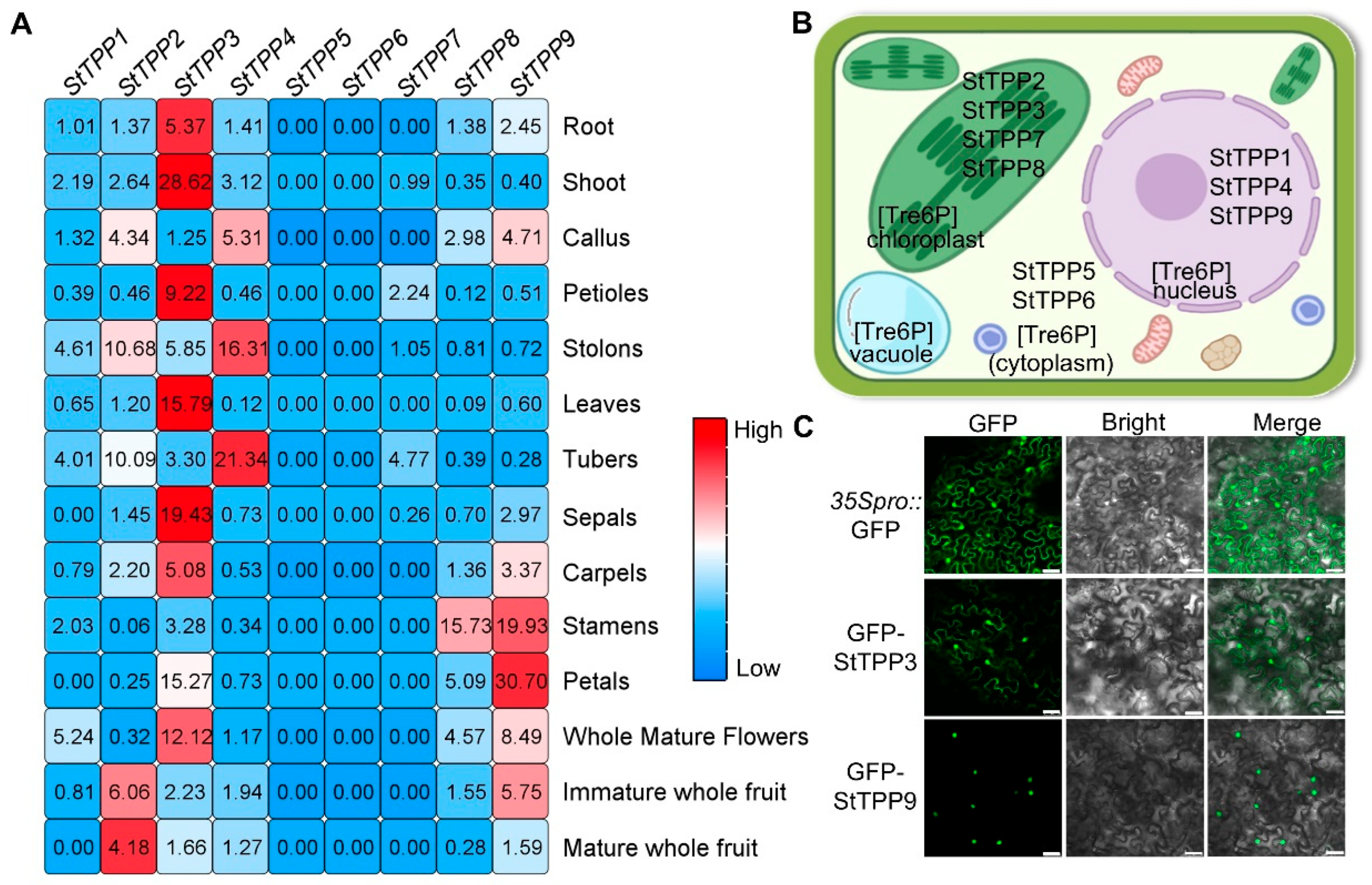 Plants 14 03300 g006