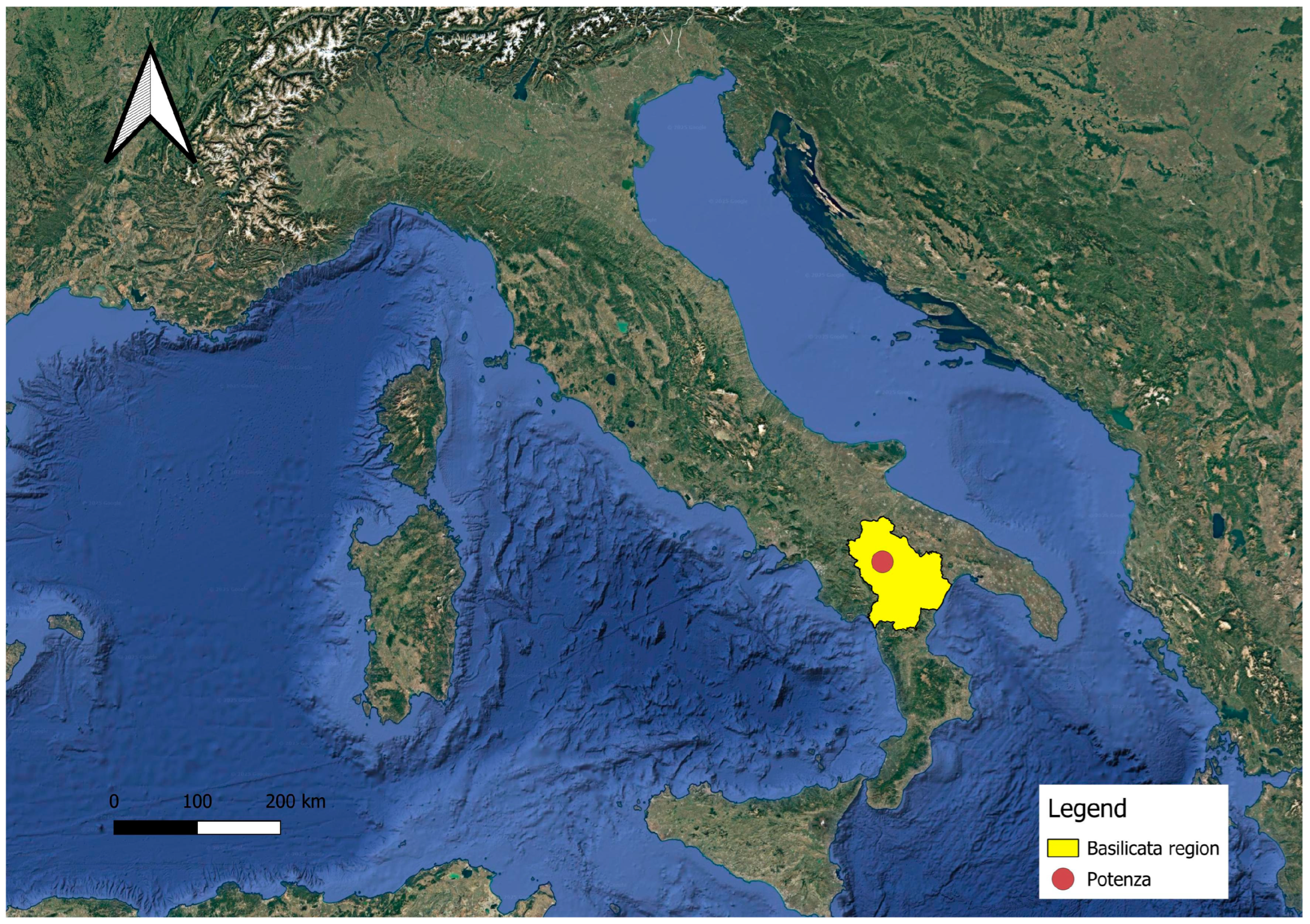 Plants 14 03306 g001