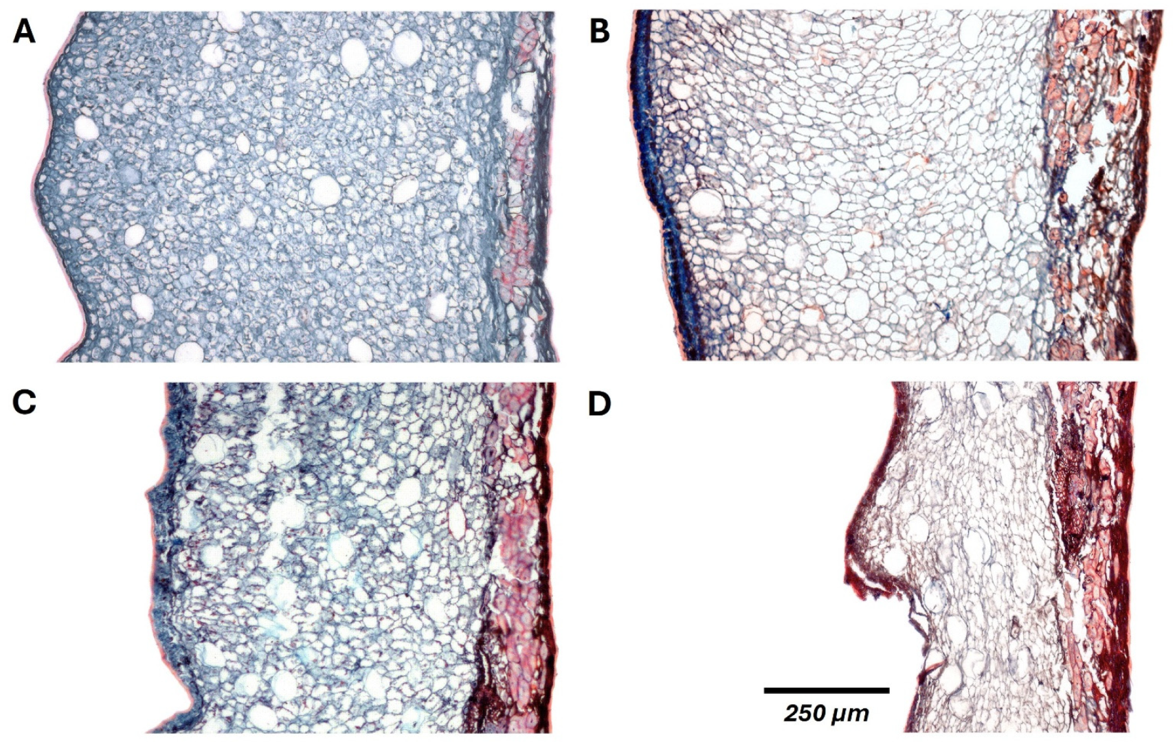 Plants 14 03307 g005