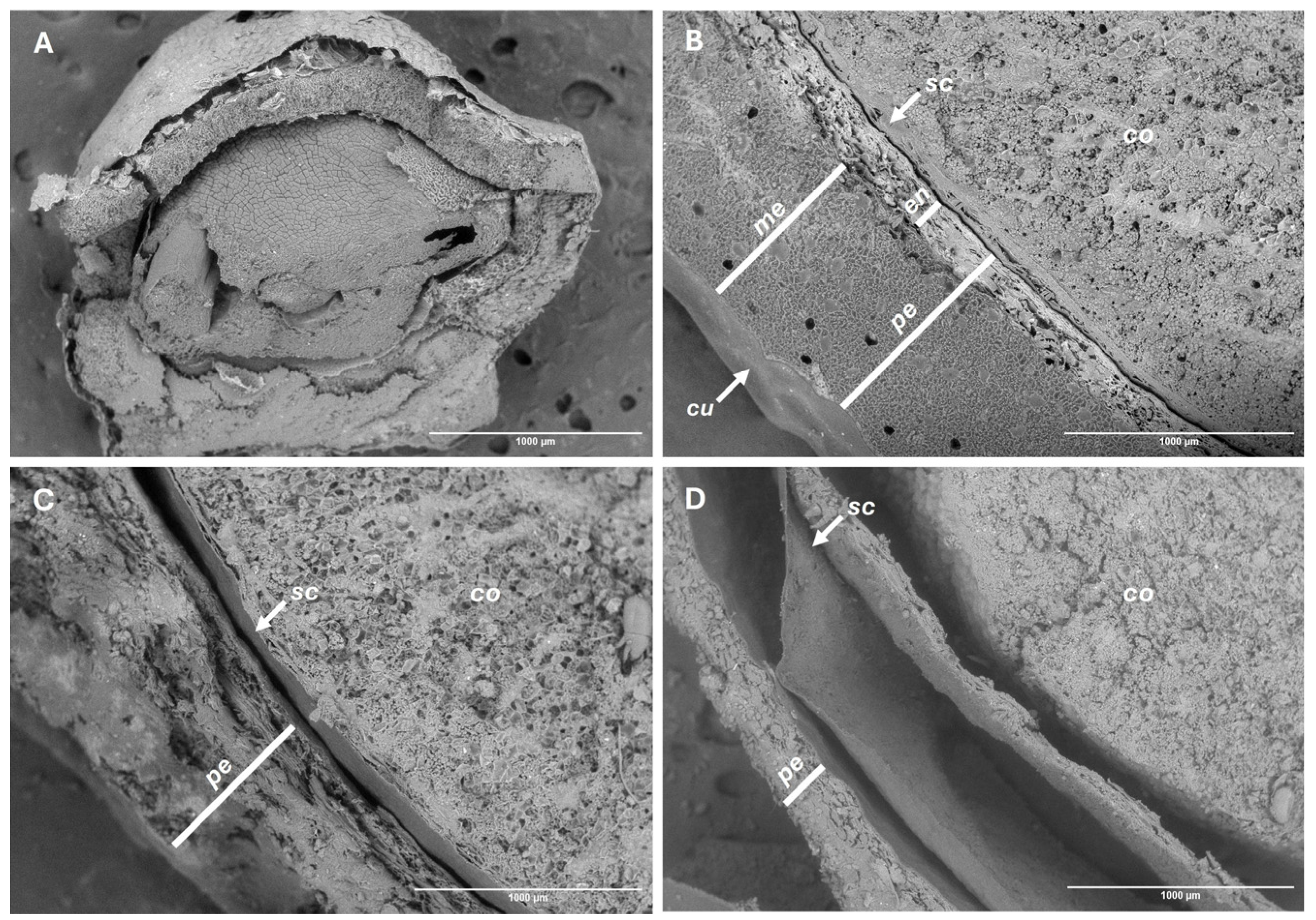 Plants 14 03307 g006