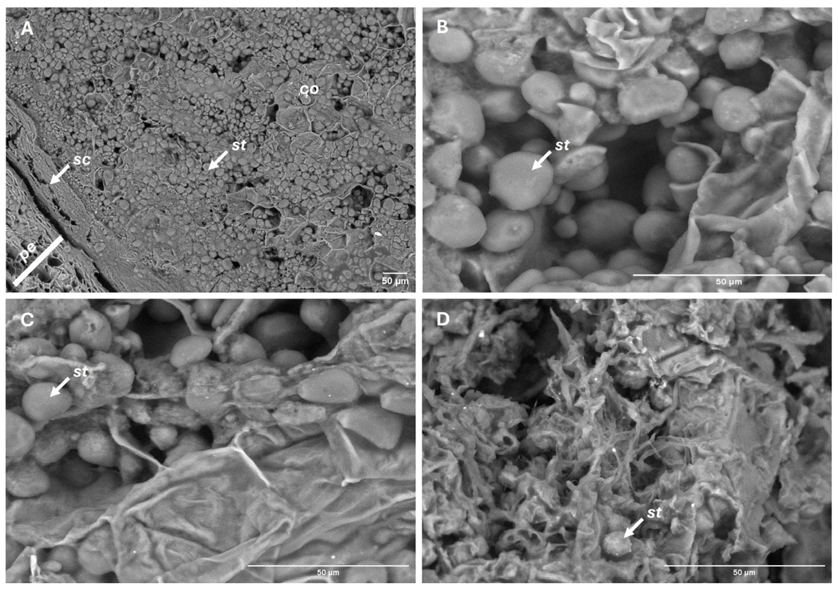 Plants 14 03307 g008