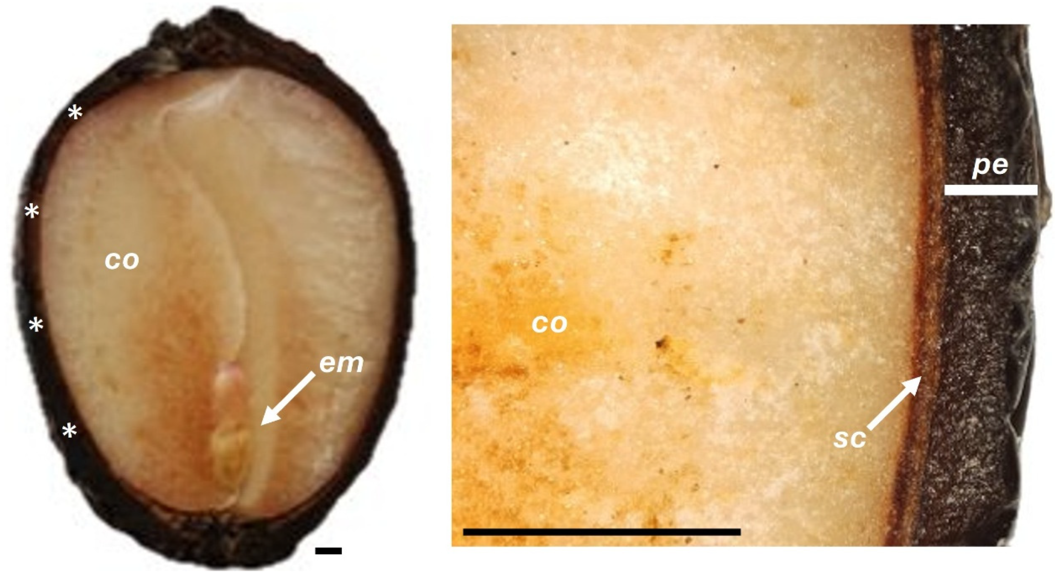 Plants 14 03307 g009