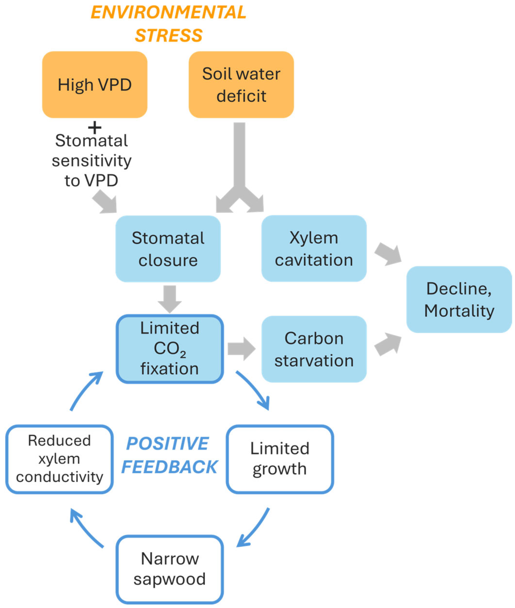 Plants 14 03308 g006 Plants 14 03308 g006