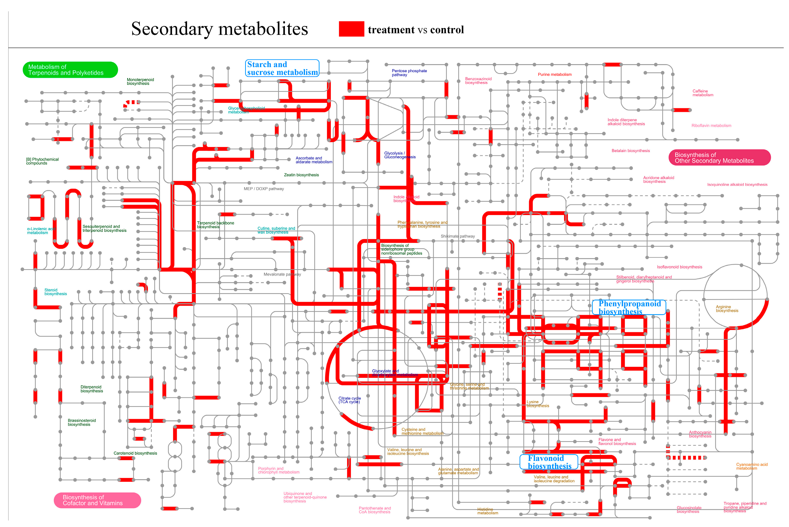 Plants 14 03311 g005 Plants 14 03311 g005