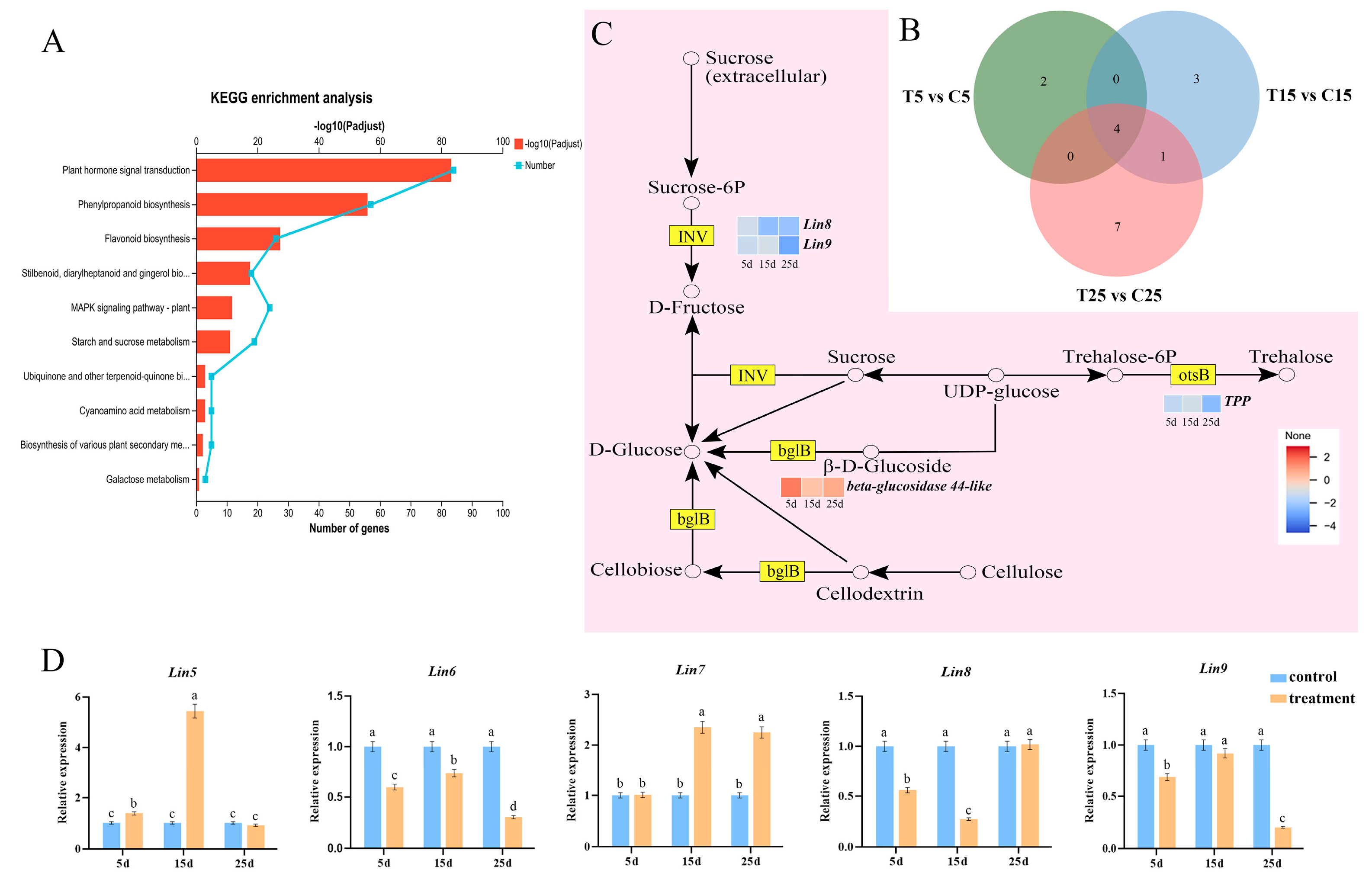 Plants 14 03311 g007 Plants 14 03311 g007