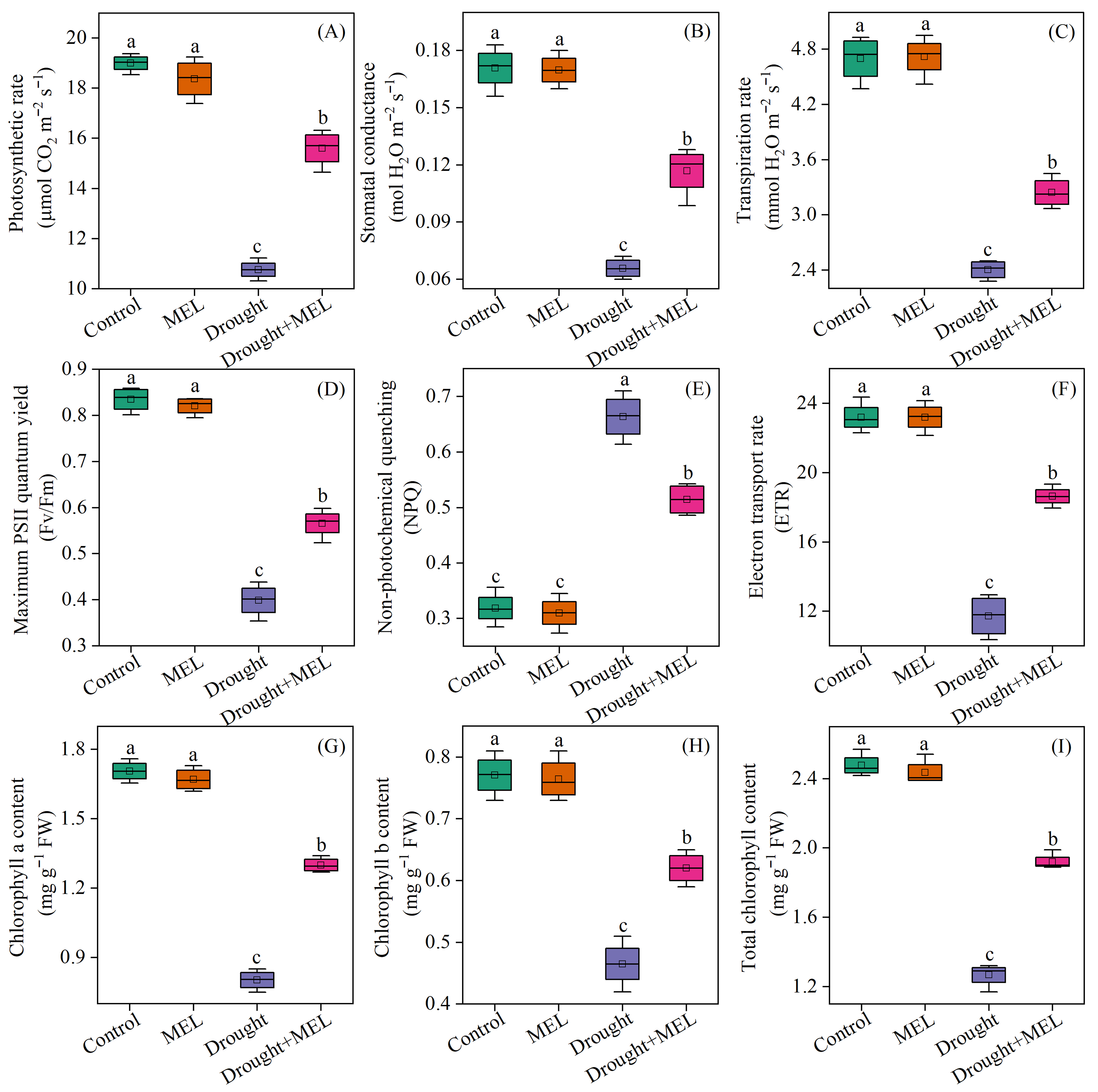 Plants 14 03314 g003