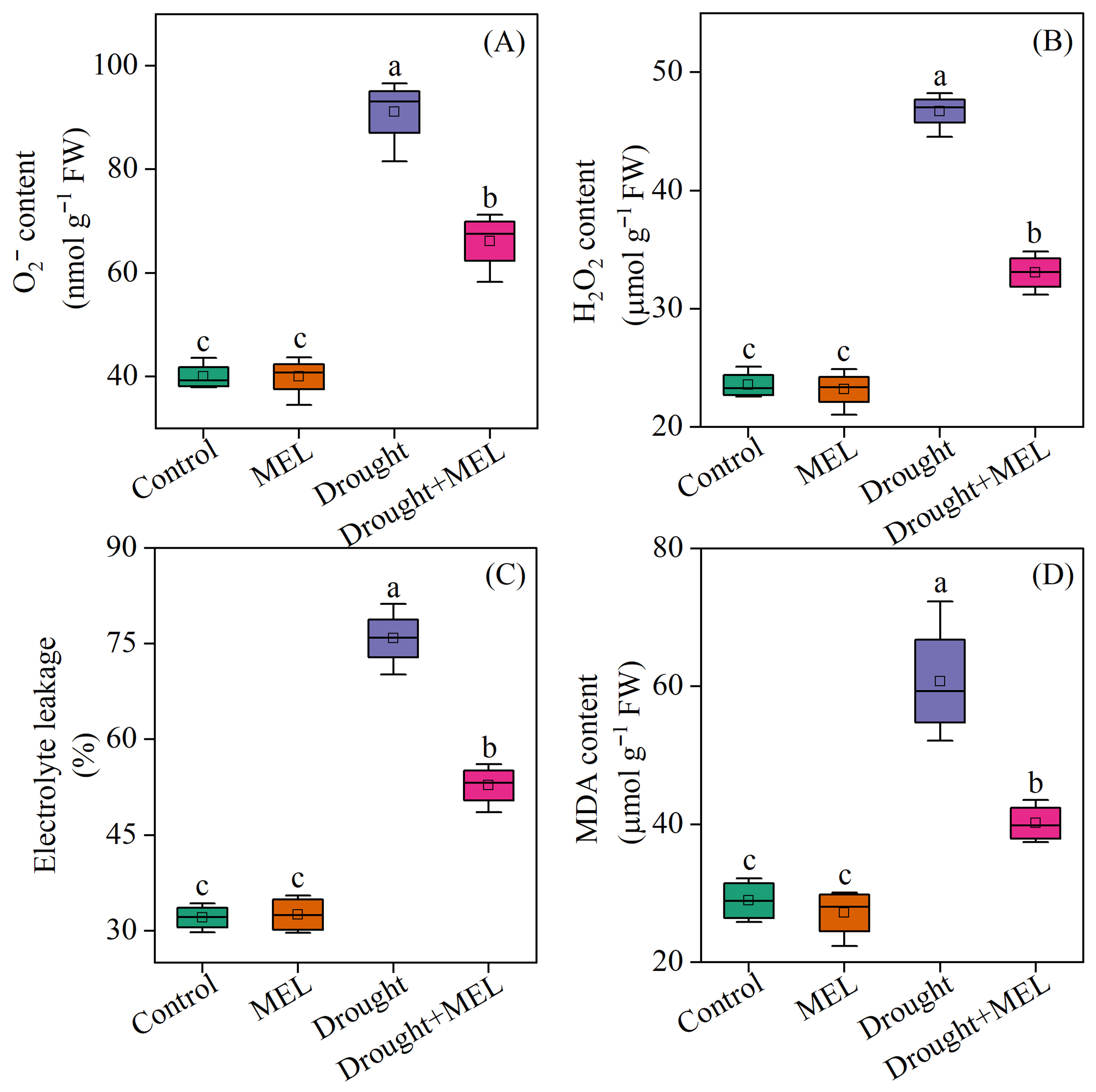 Plants 14 03314 g004