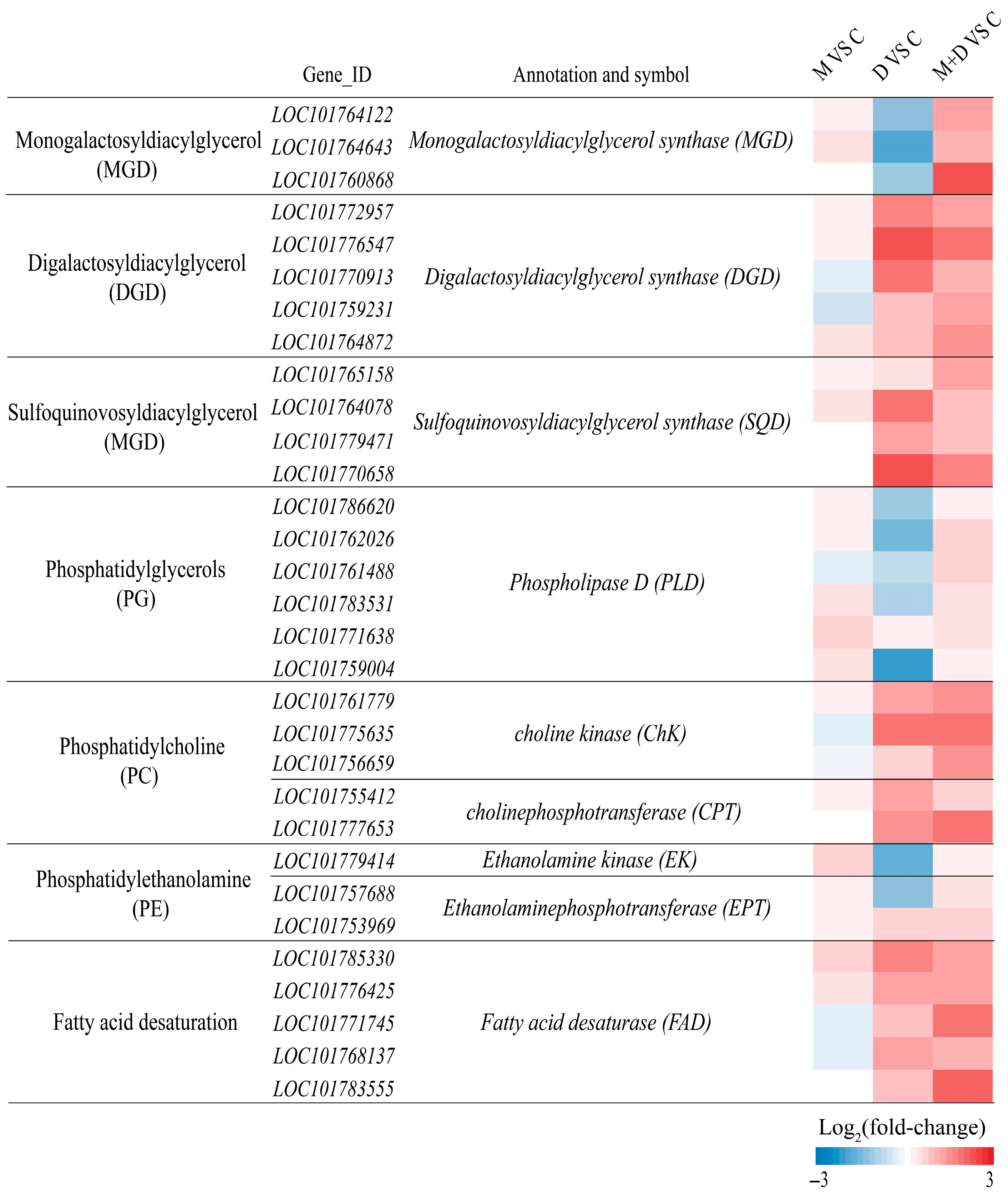 Plants 14 03314 g008