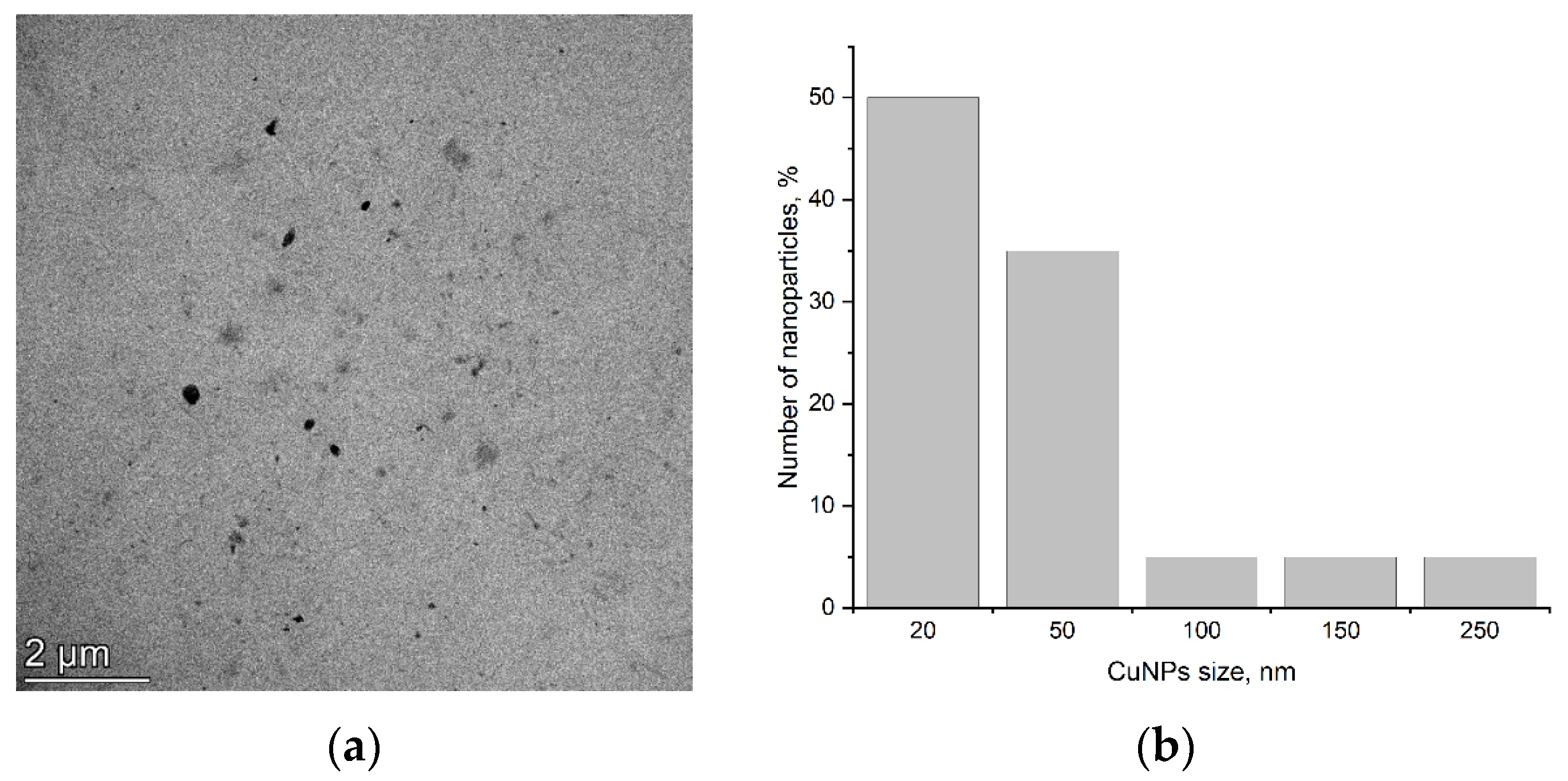 Plants 14 03318 g001 Plants 14 03318 g001