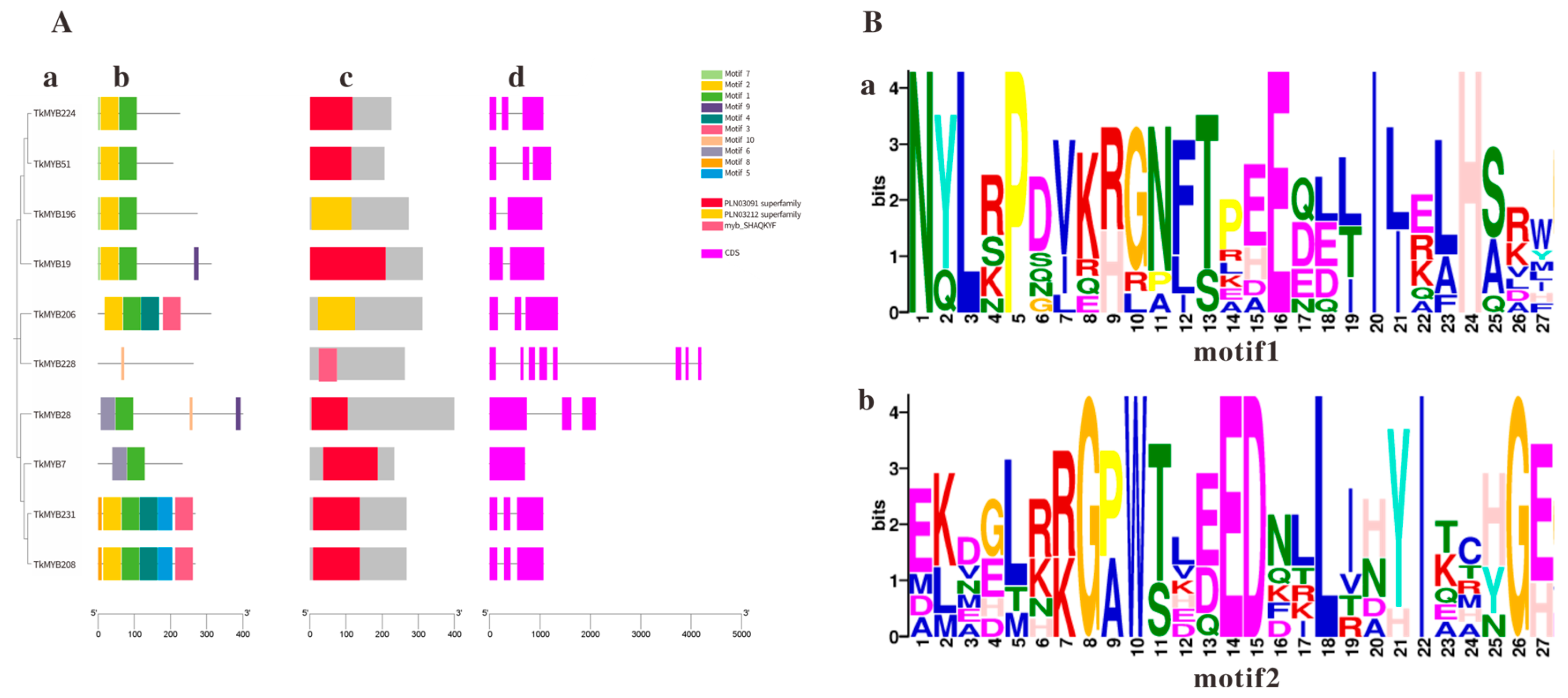 Plants 14 03323 g003