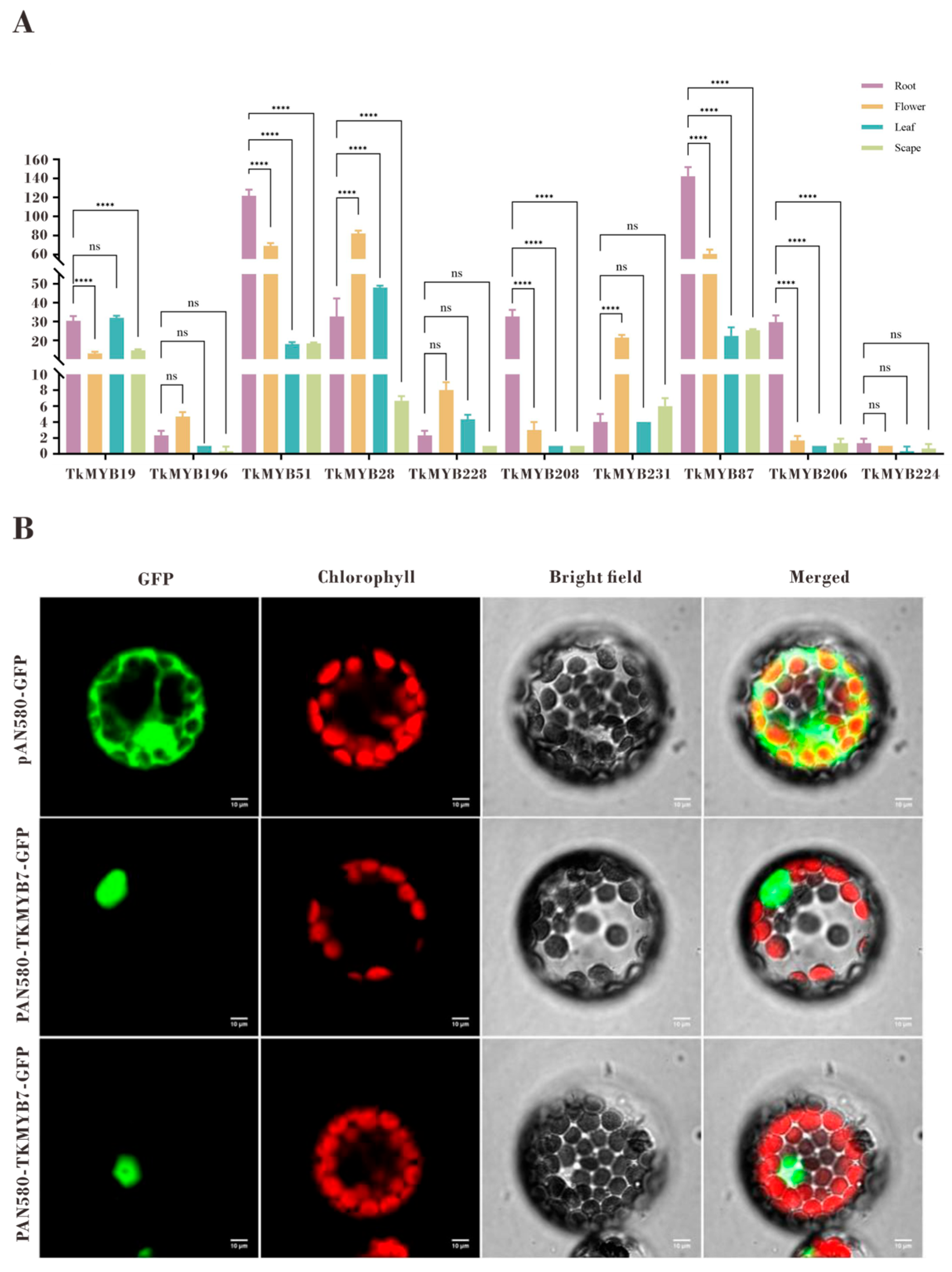 Plants 14 03323 g004