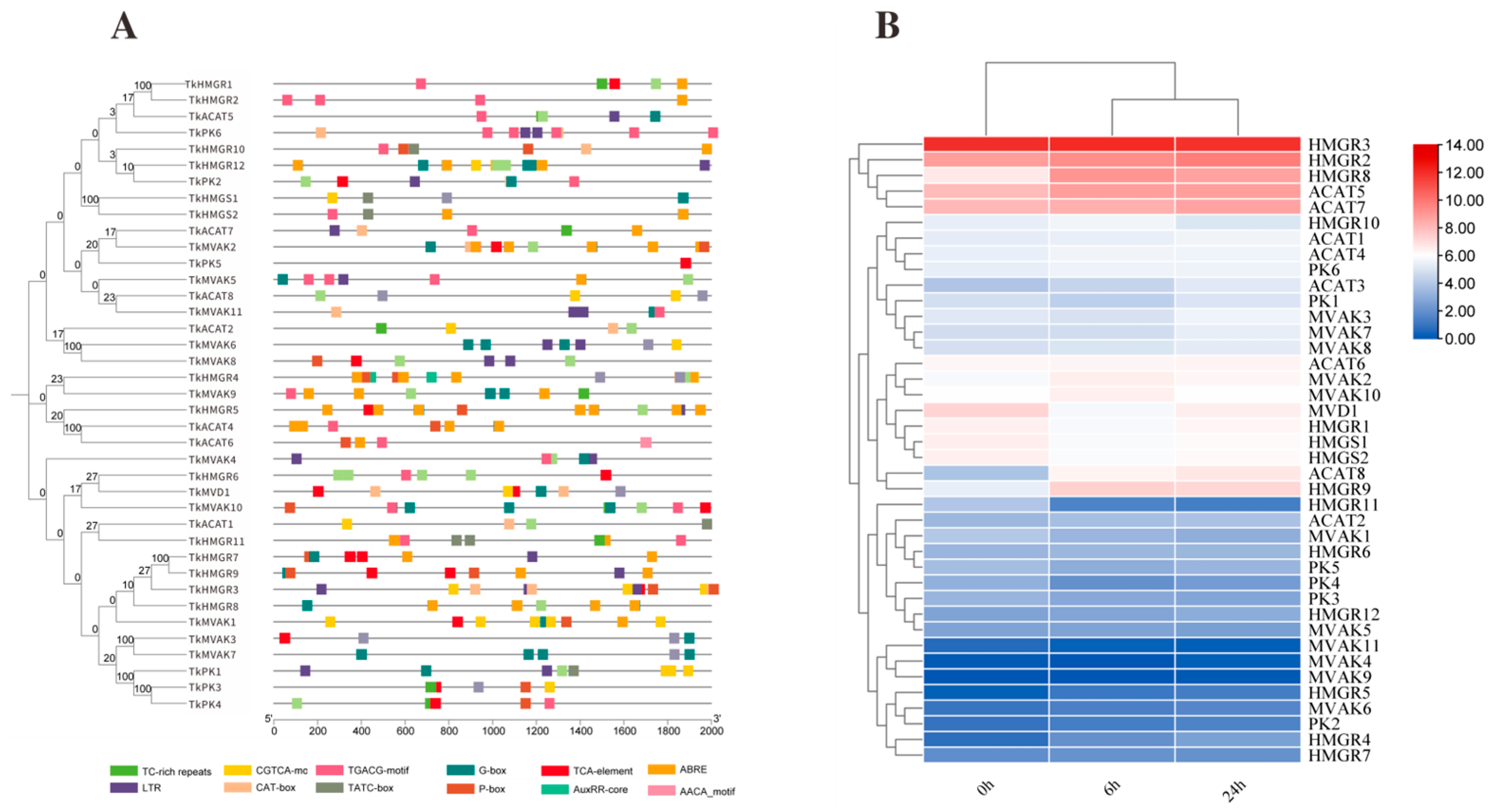 Plants 14 03323 g005