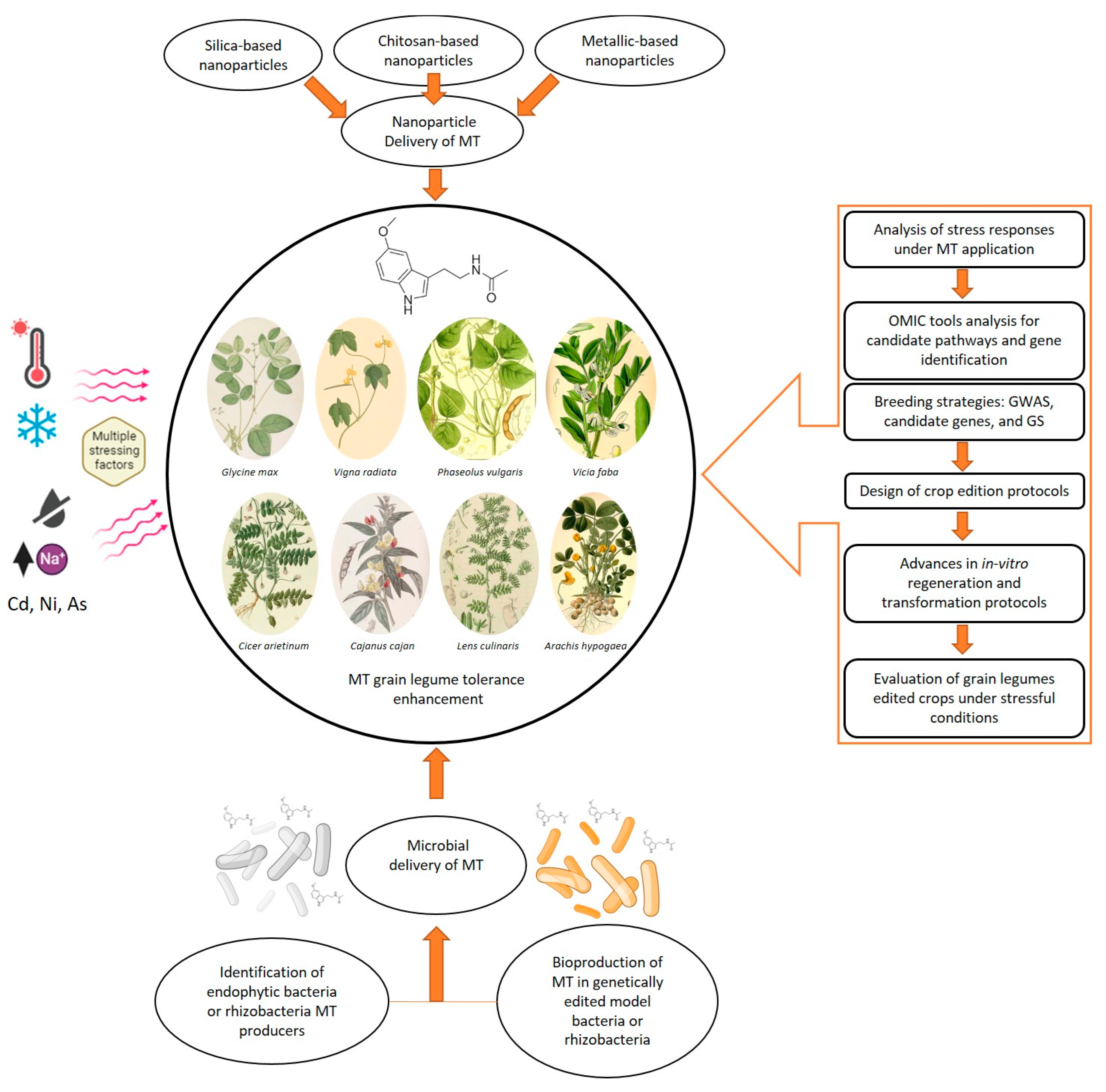 Plants 14 03324 g002