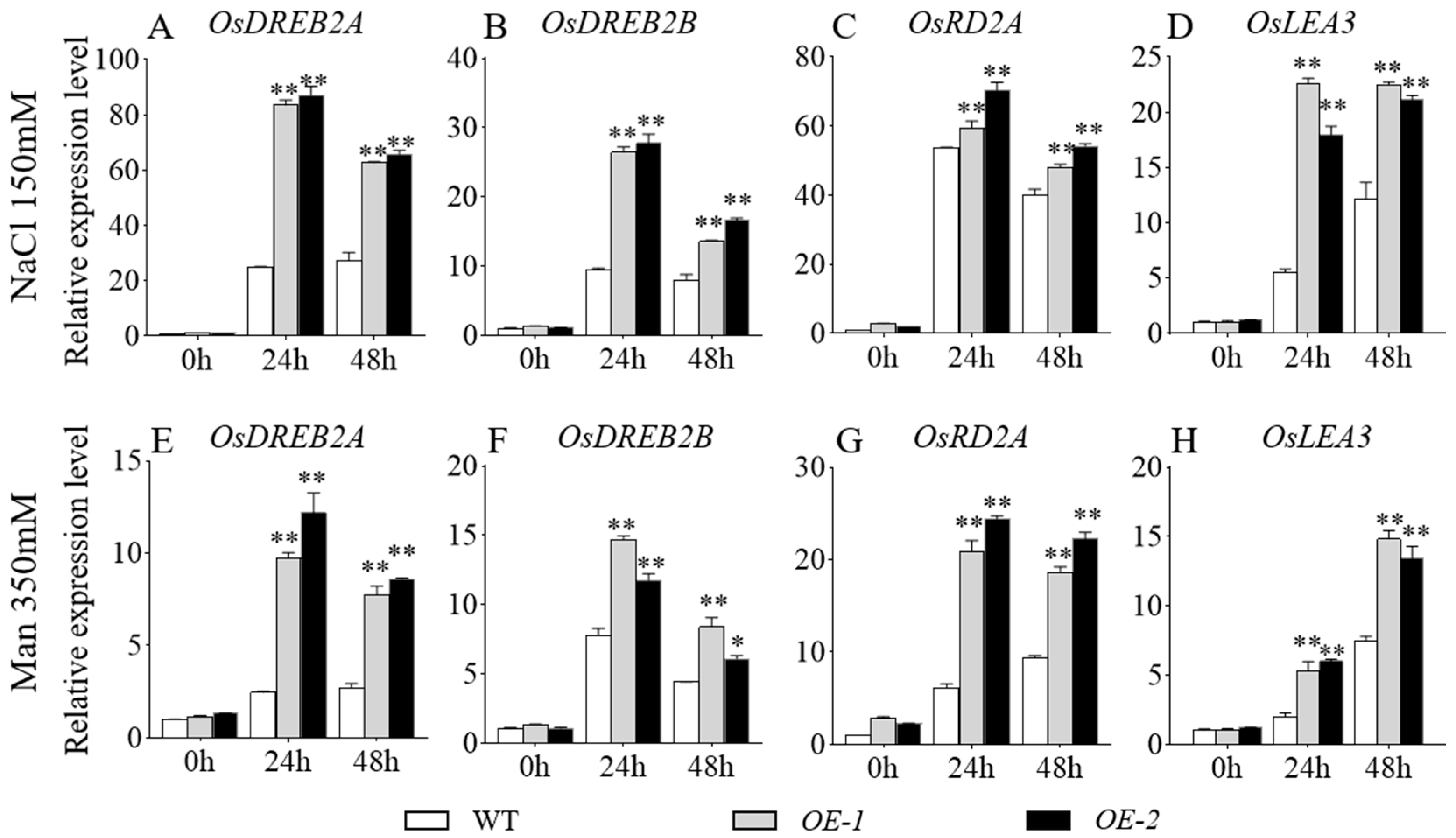 Plants 14 03326 g007 Plants 14 03326 g007