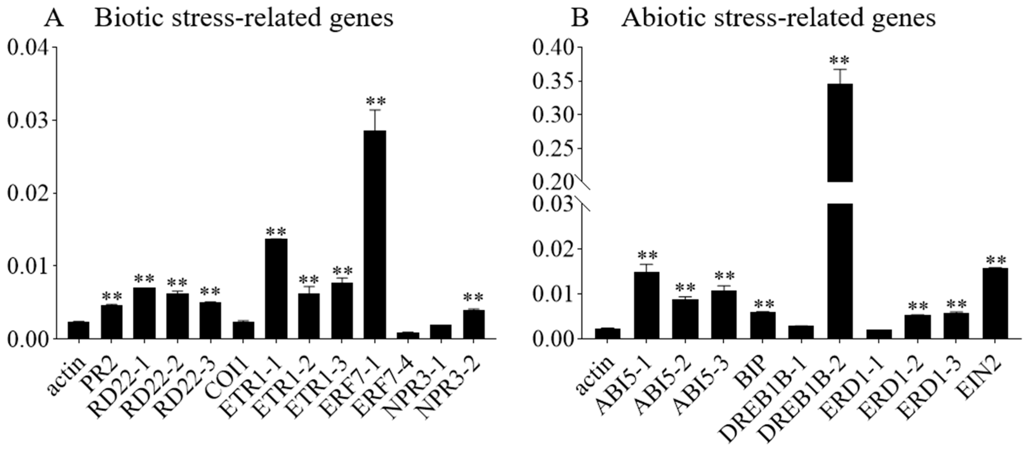 Plants 14 03326 g008 Plants 14 03326 g008