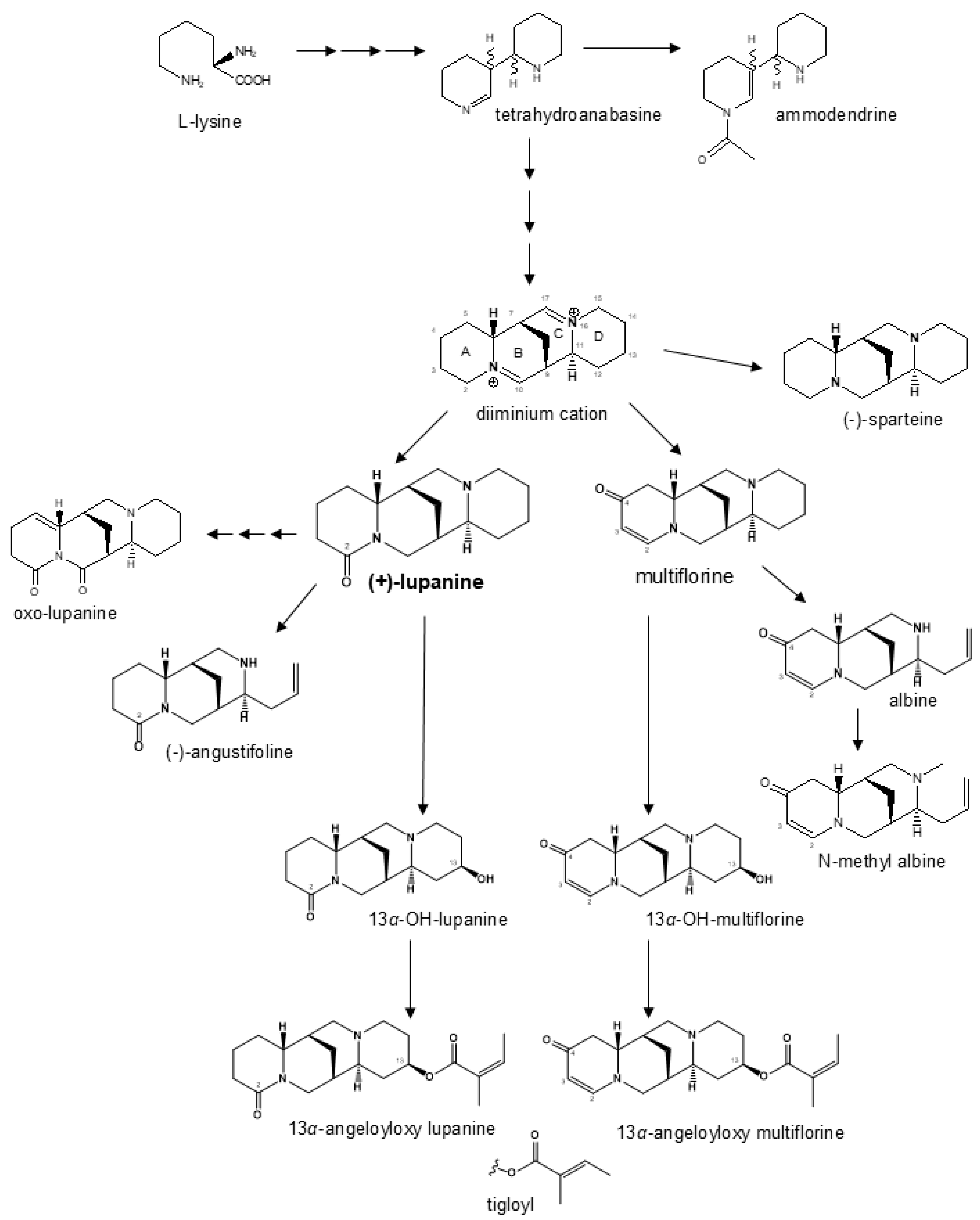 Plants 14 03327 g004 Plants 14 03327 g004