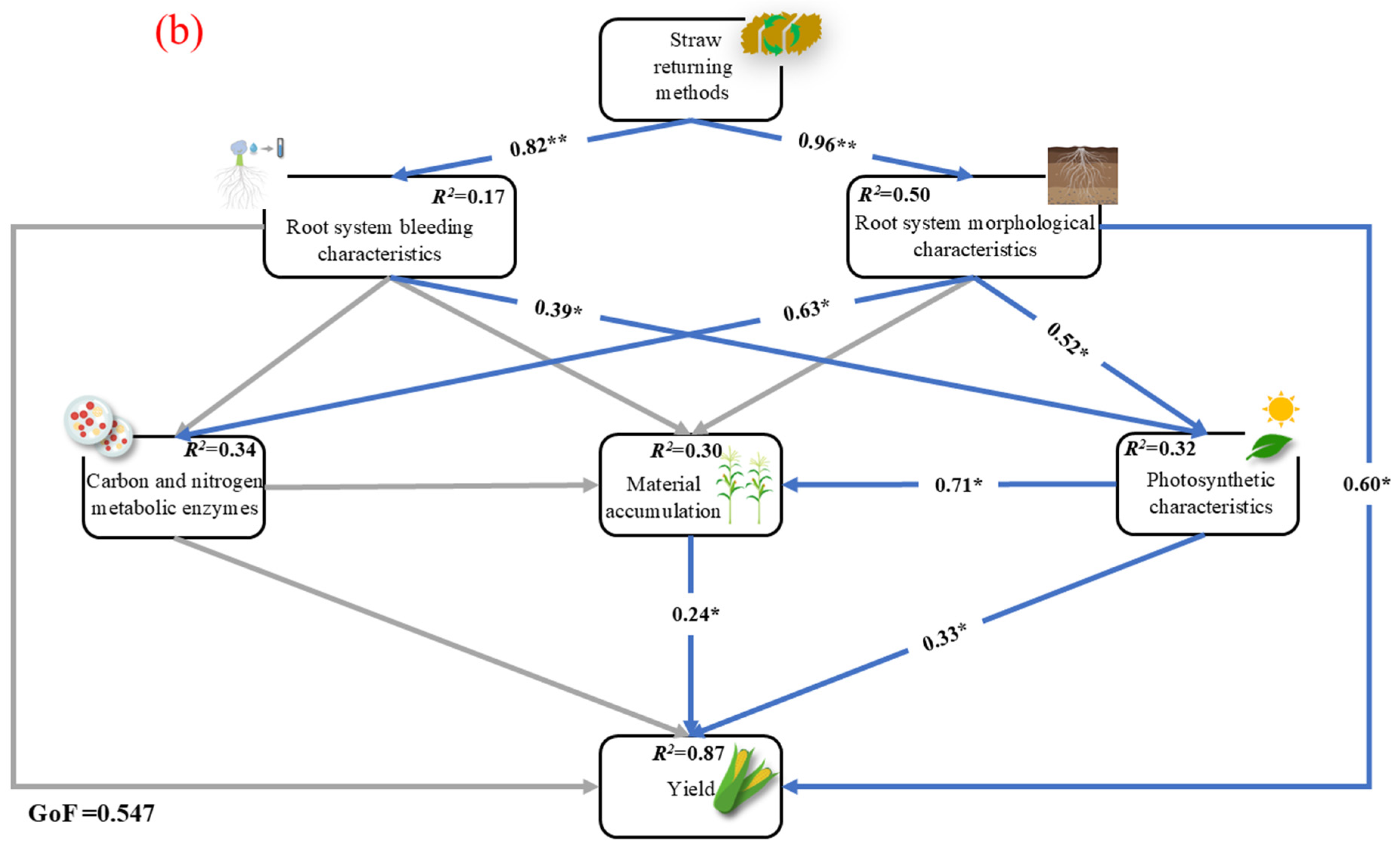 Plants 14 03331 g005b