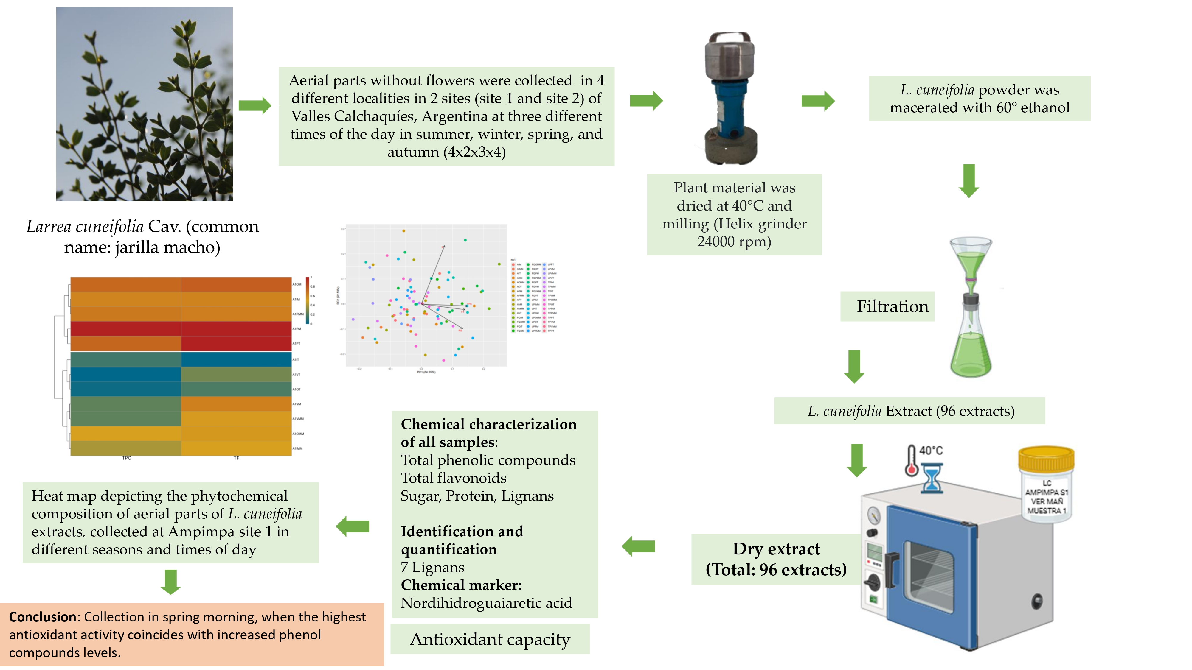 Plants 14 03332 g002