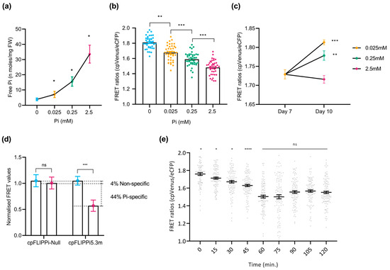 Plants 14 03334 g003